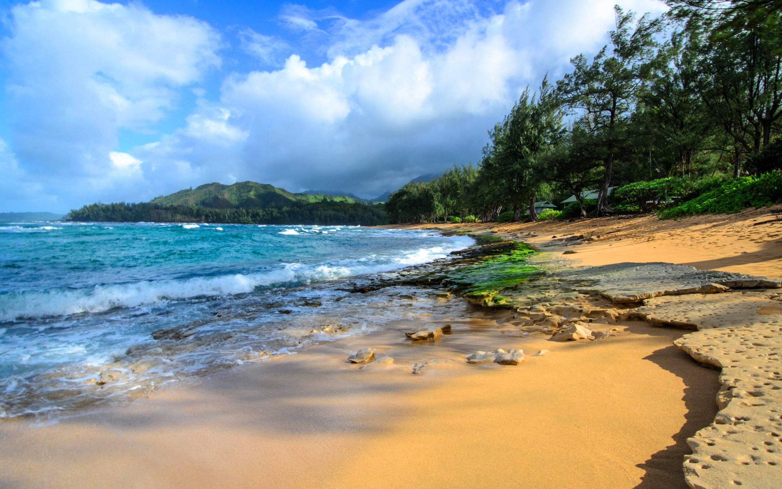 hawaii, desktop, isl, haena, 2K, background, kauai, beach, HD Wallpaper