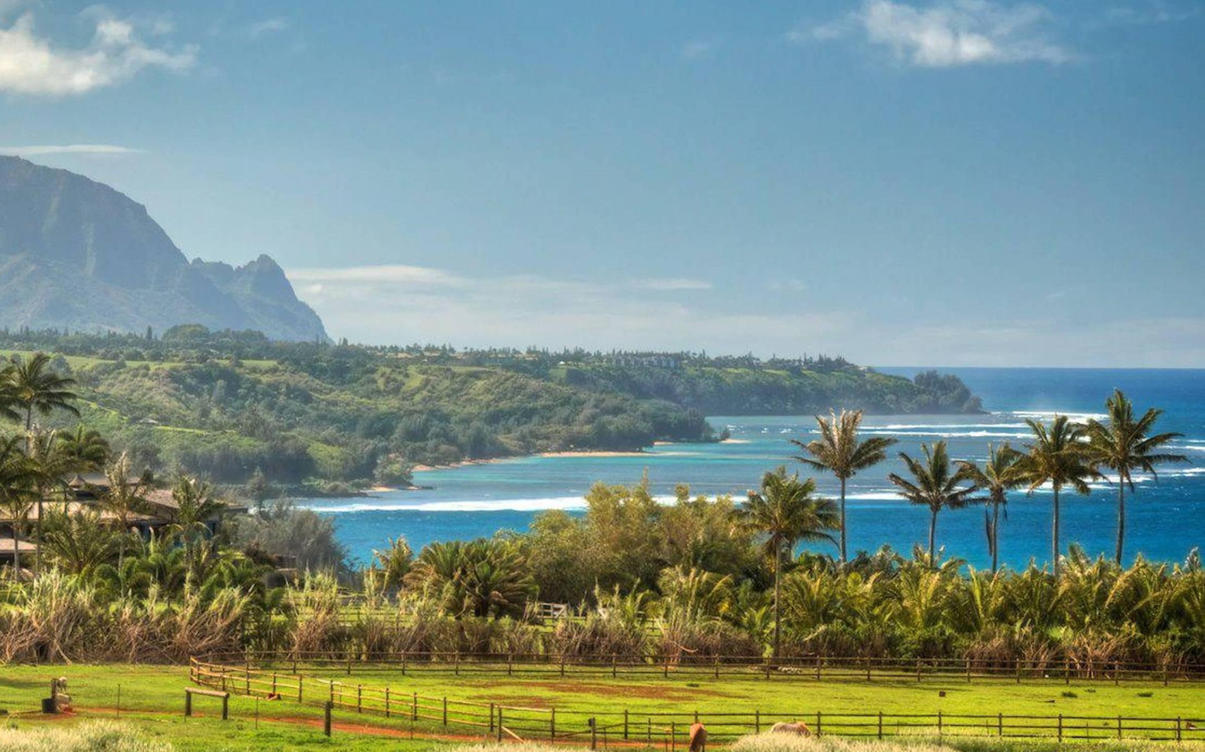 hawaii, palm tr, view, island, sea view, pacific, trees, vista, north, kauai, dramatic, coconut, ocean, beach, paradise, 1080P, sand, HD Wallpaper