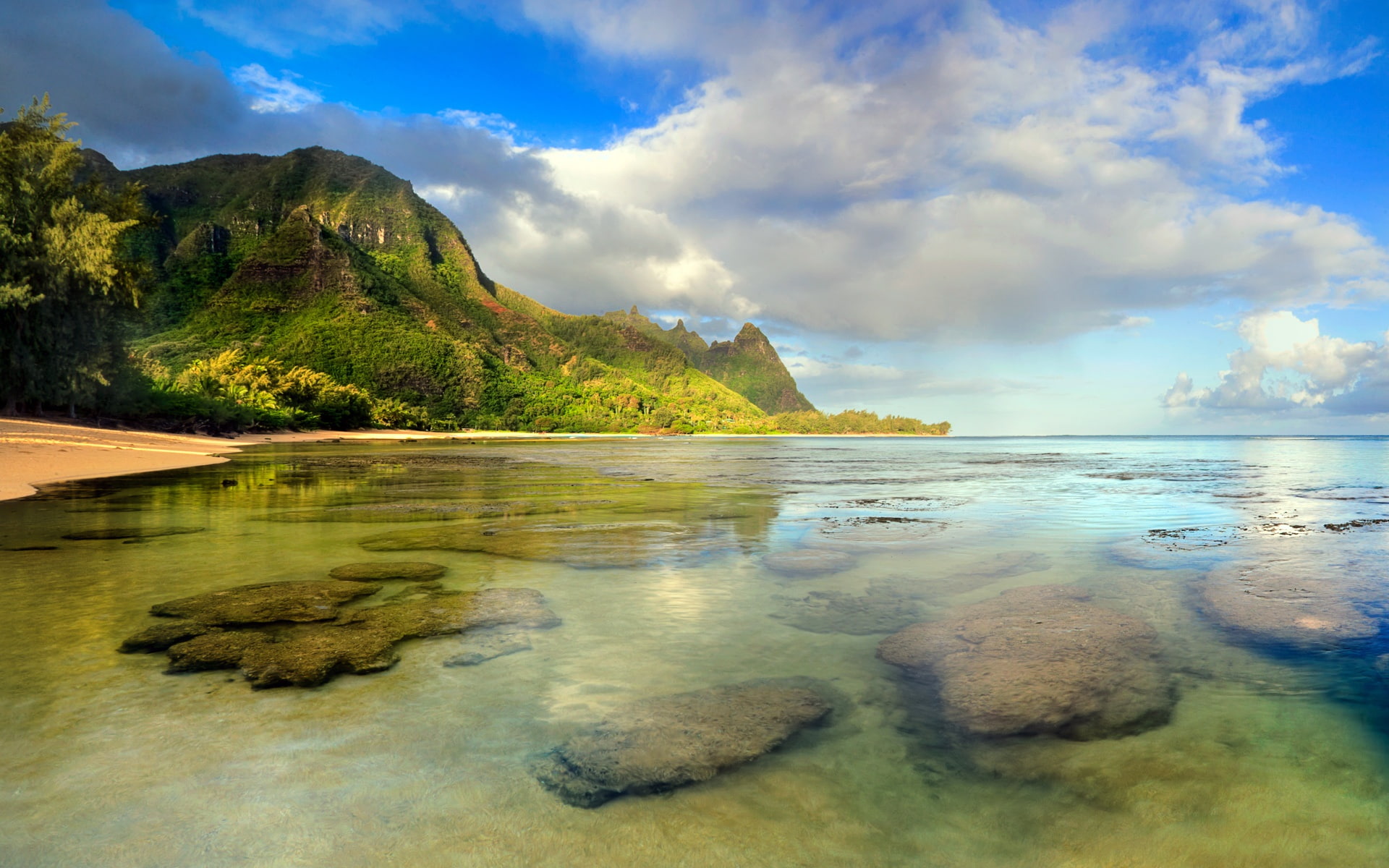 Underwater, Reef, Coral, Beach, 1080P, Kauai, Seascape, HD Wallpaper