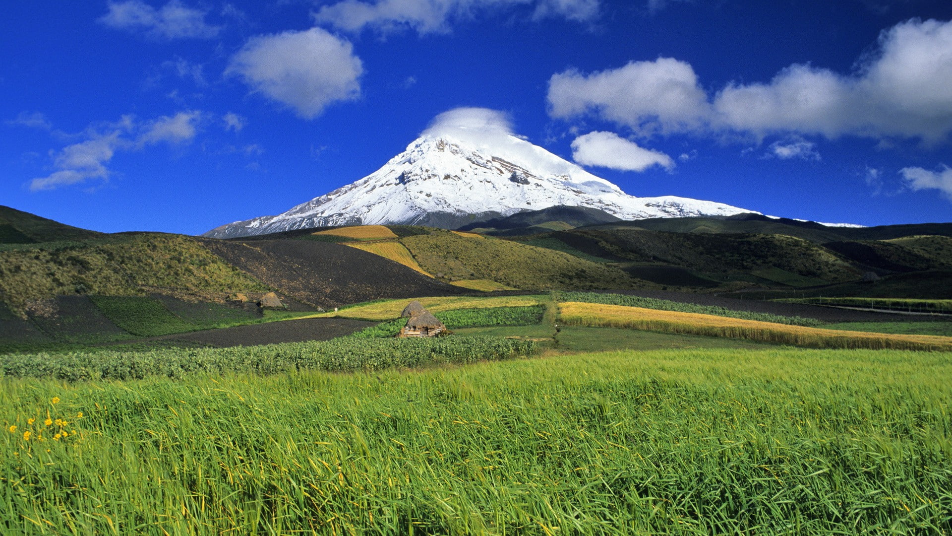 ecuador, 1080P, HD Wallpaper