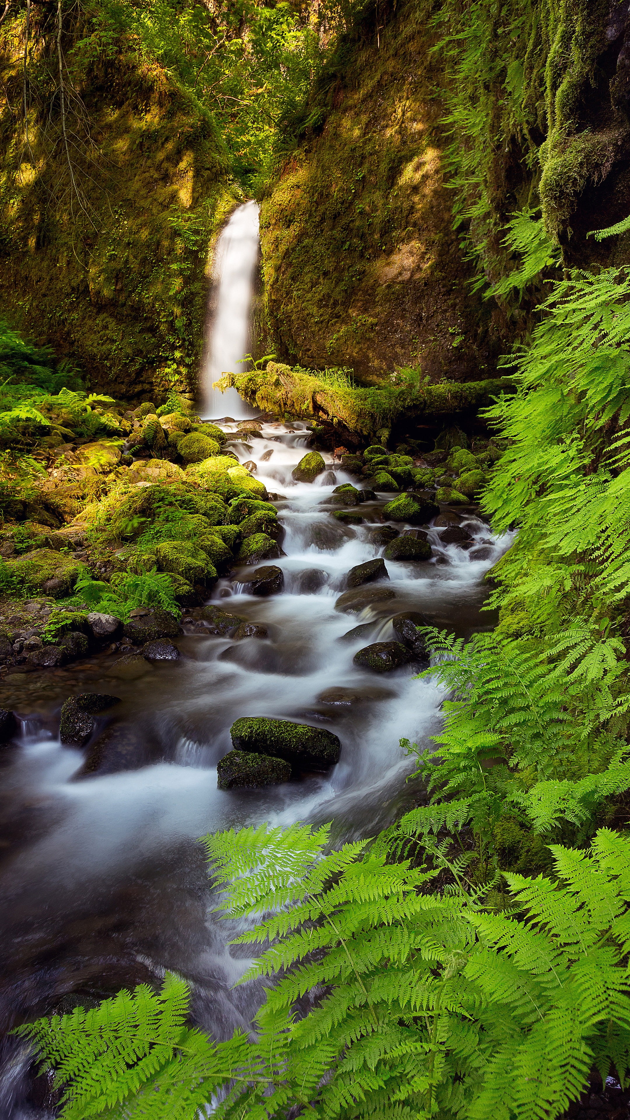 landscape, 4K, creeks, vertical, Phone HD Wallpaper
