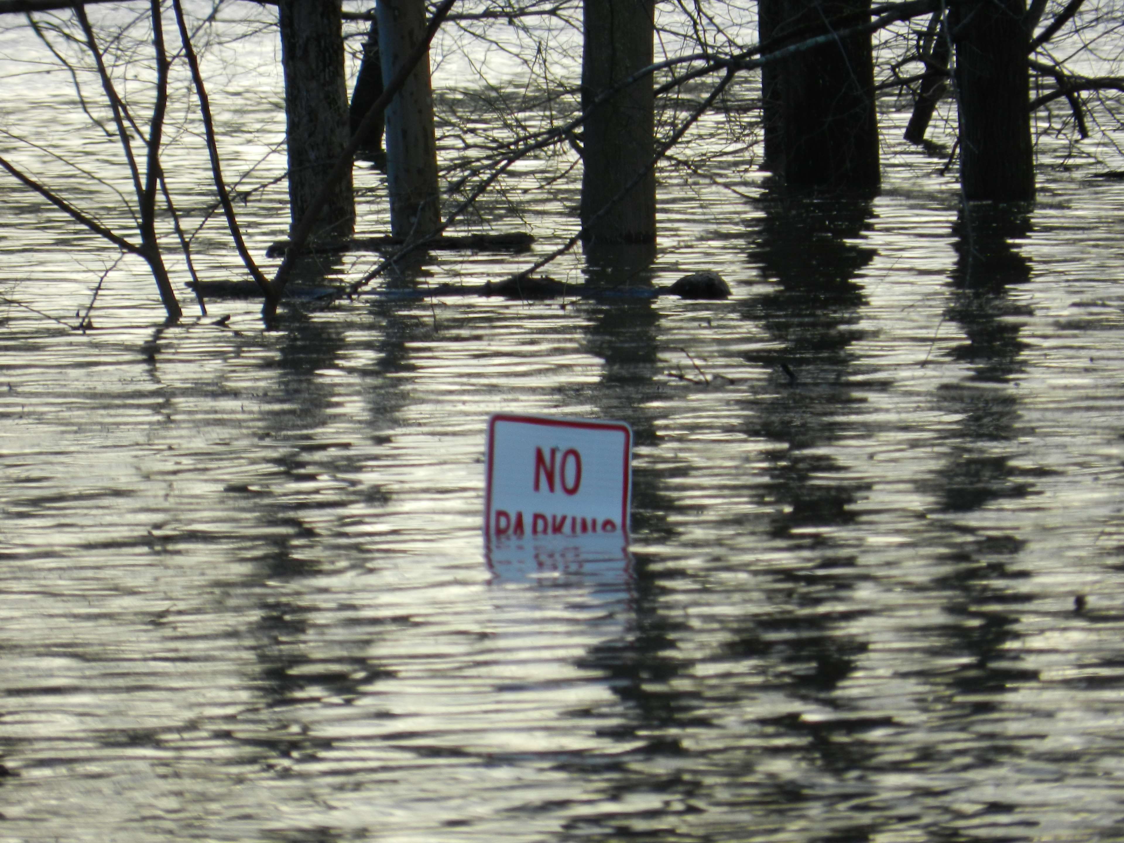 trunk, direction, lake, day, floods, no people, flooding, communication, plant, sign, information sign, information, warning sign, water, tree, 4K, flood, HD Wallpaper