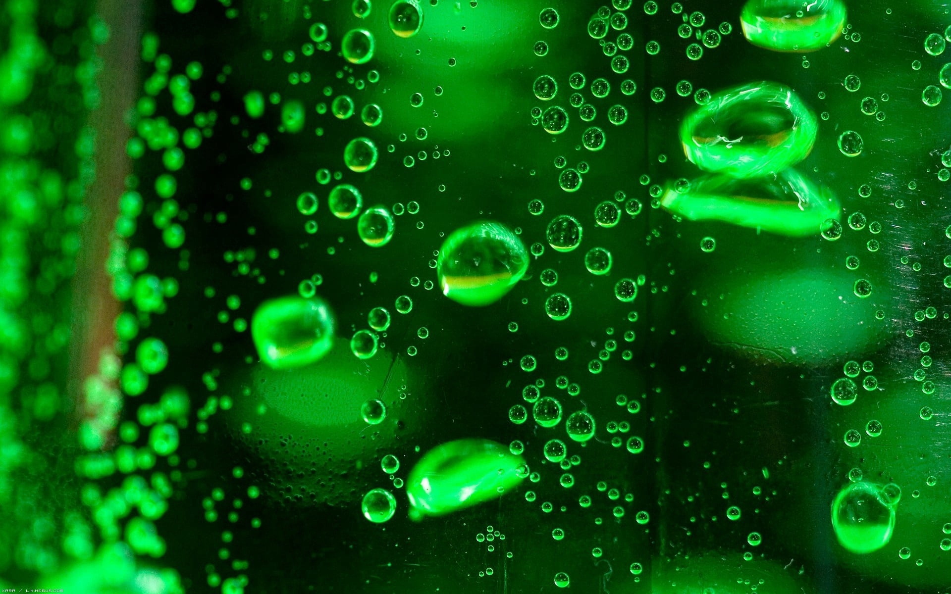 water, surface, indoors, 1080P, green, droplet, blue, green color, freshness, nature, purity, liquid, fluid, wet, close-up, circle, macro, raindrop, backgrounds, HD Wallpaper