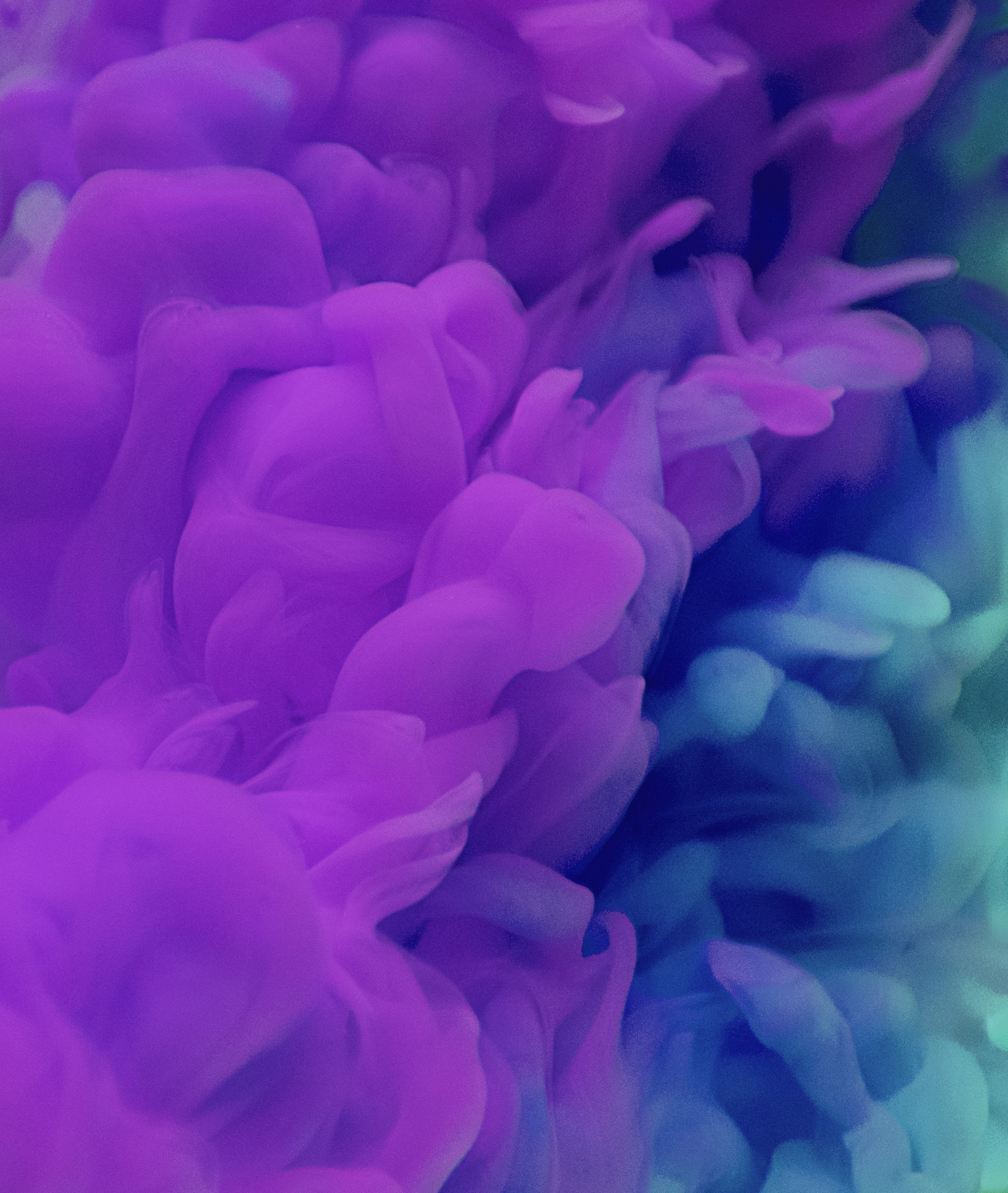 cloud, abstract, design, outdoors, inflorescence, contamination, marine, close-up, flower, purple, full frame, growth, day, water, art, background, vulnerability, Phone HD Wallpaper