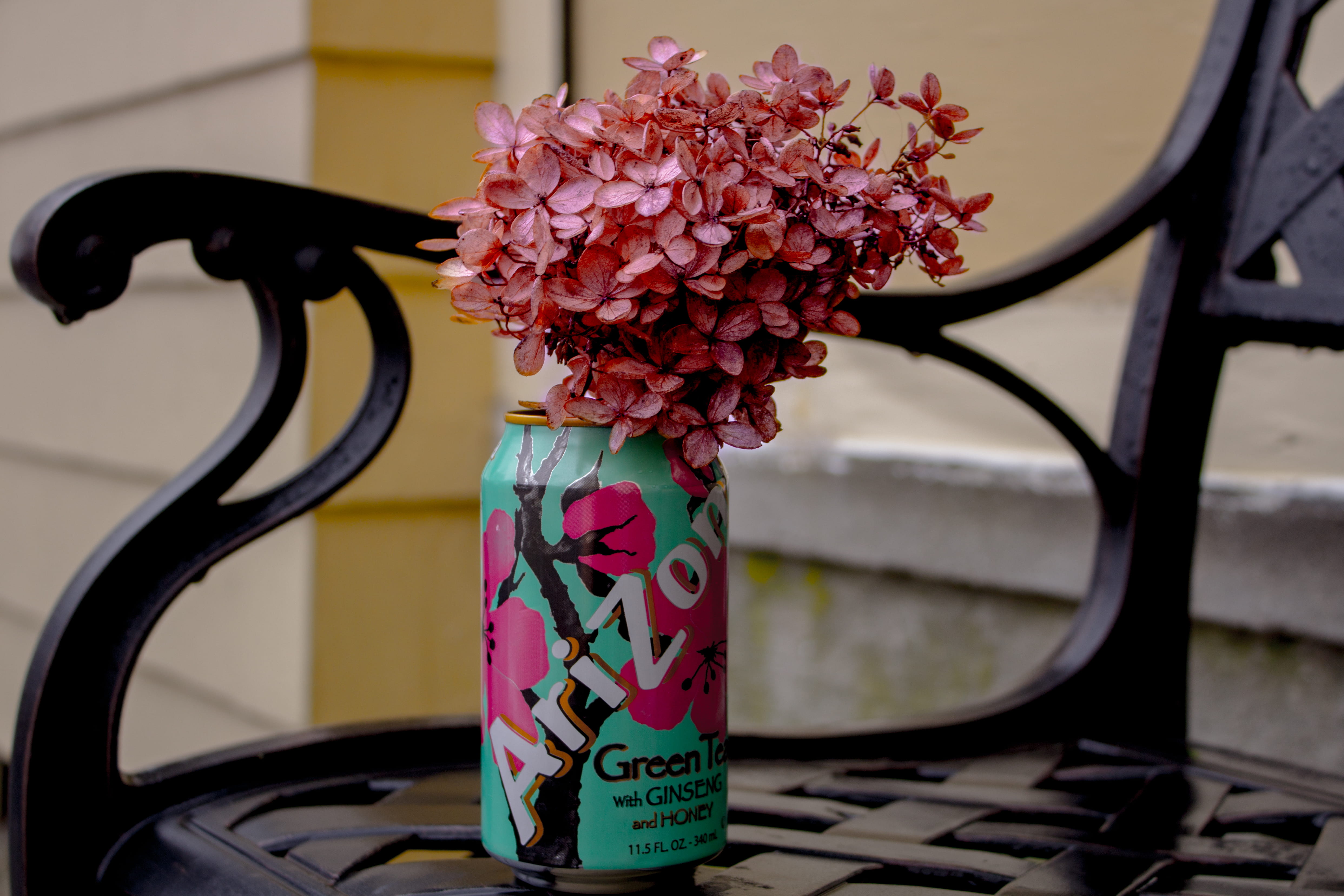 nikon, cherry blossom, table, day, 4K, flowers, tea, canon, hq, fragility, flowering plant, flower, flower head, beauty in nature, vase, freshness, no people, HD Wallpaper