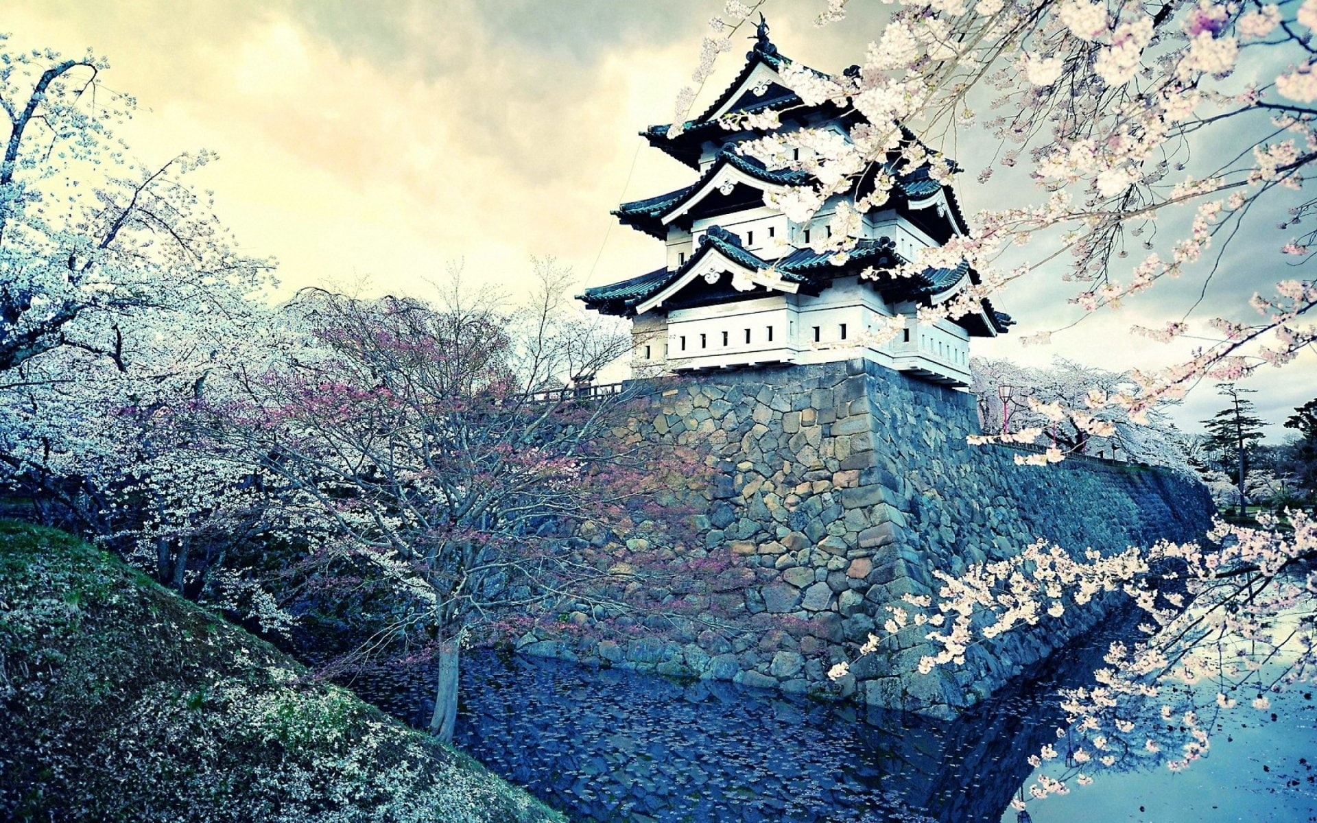 Oriental, Blossom, Castle, House, Asian, Cherry, Japan, City, Spring, Castles, 1080P, HD Wallpaper