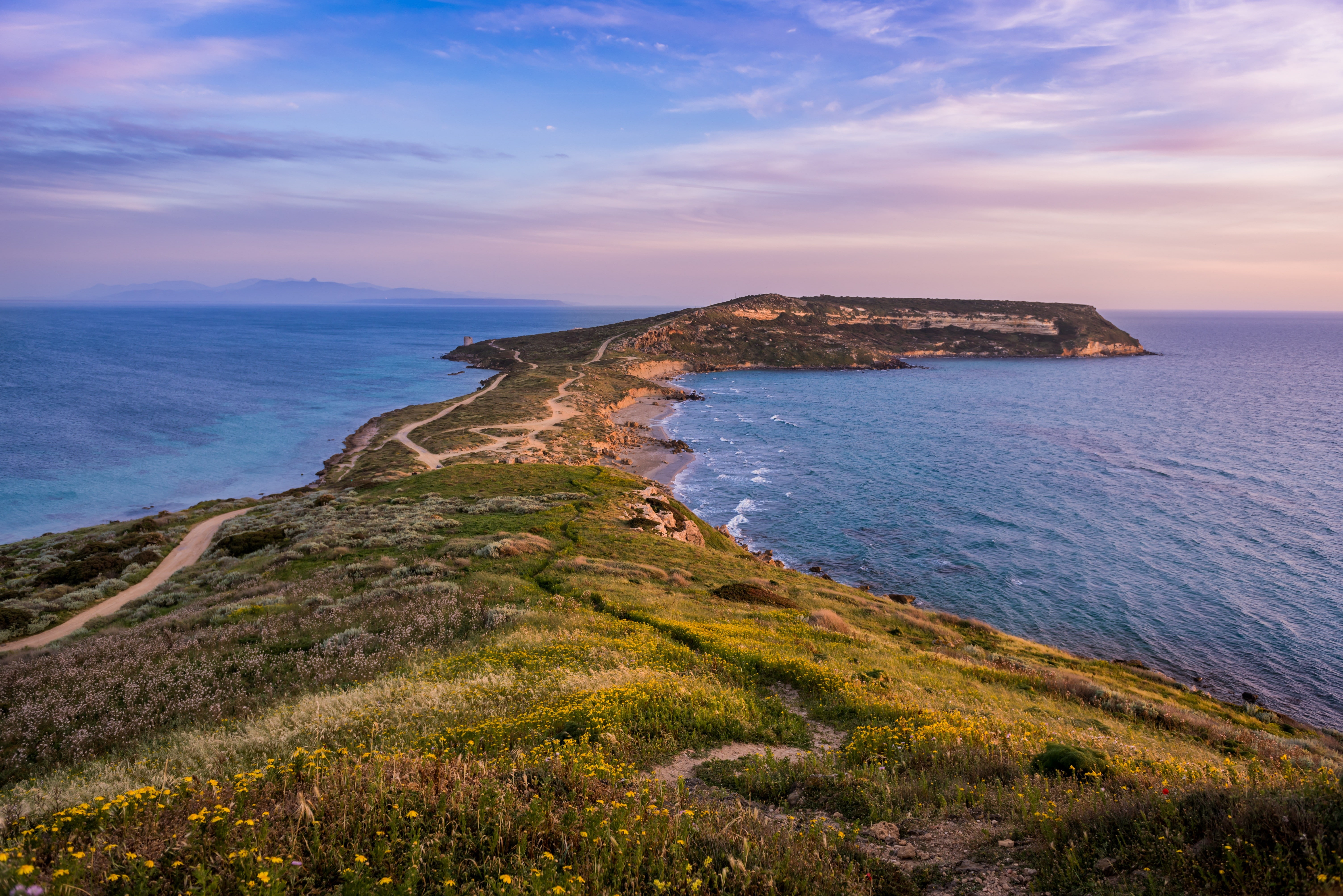 5K, water, Sicily, grass, Italy, sea, nature, landscape, HD Wallpaper