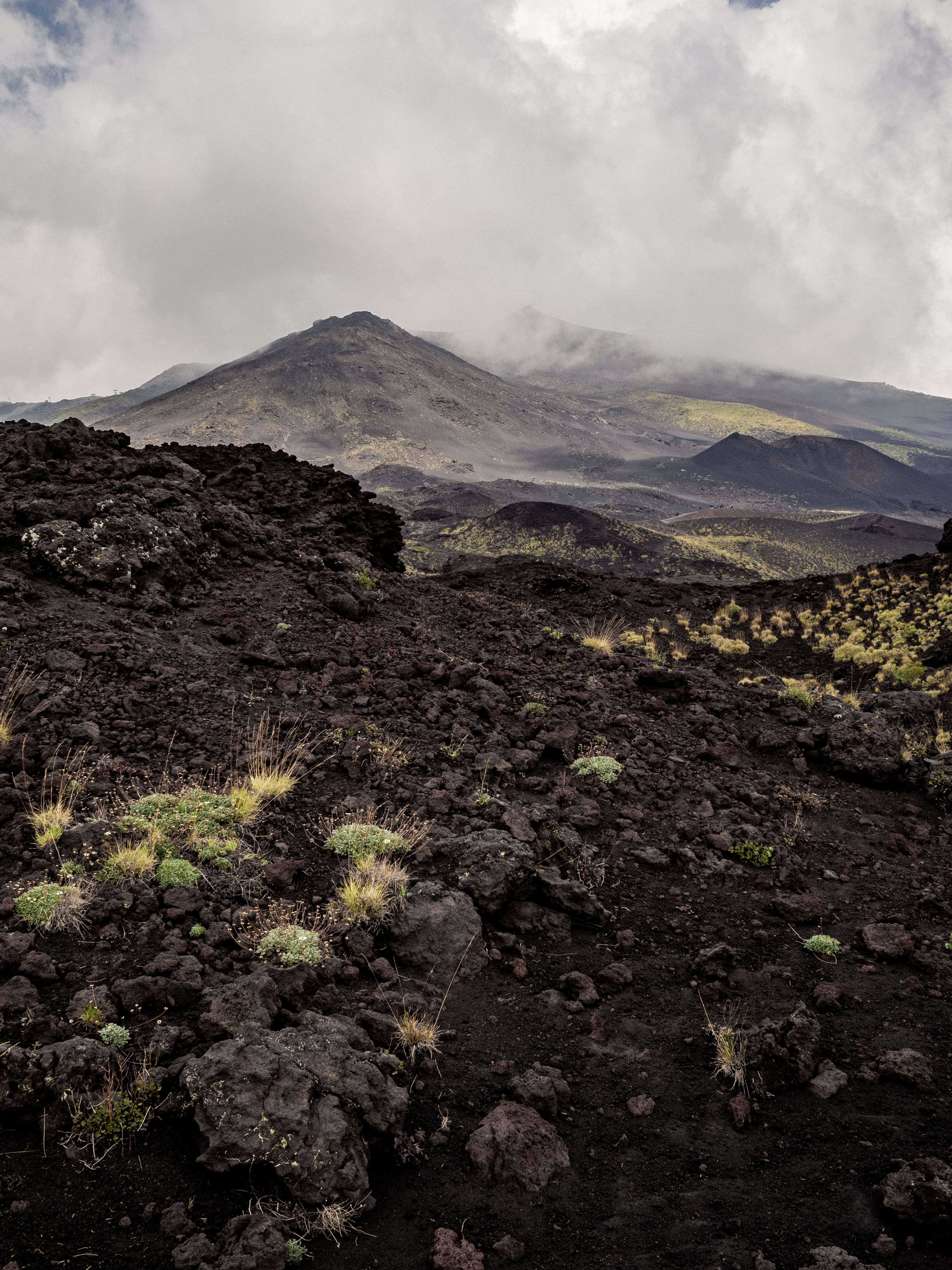 nature, flower, wilderness, dark, vulcano, grey, scenics - nature, gray, cloud - sky, land, mountain range, deserted, fog, tranquil scene, mountain, 4K, Phone HD Wallpaper