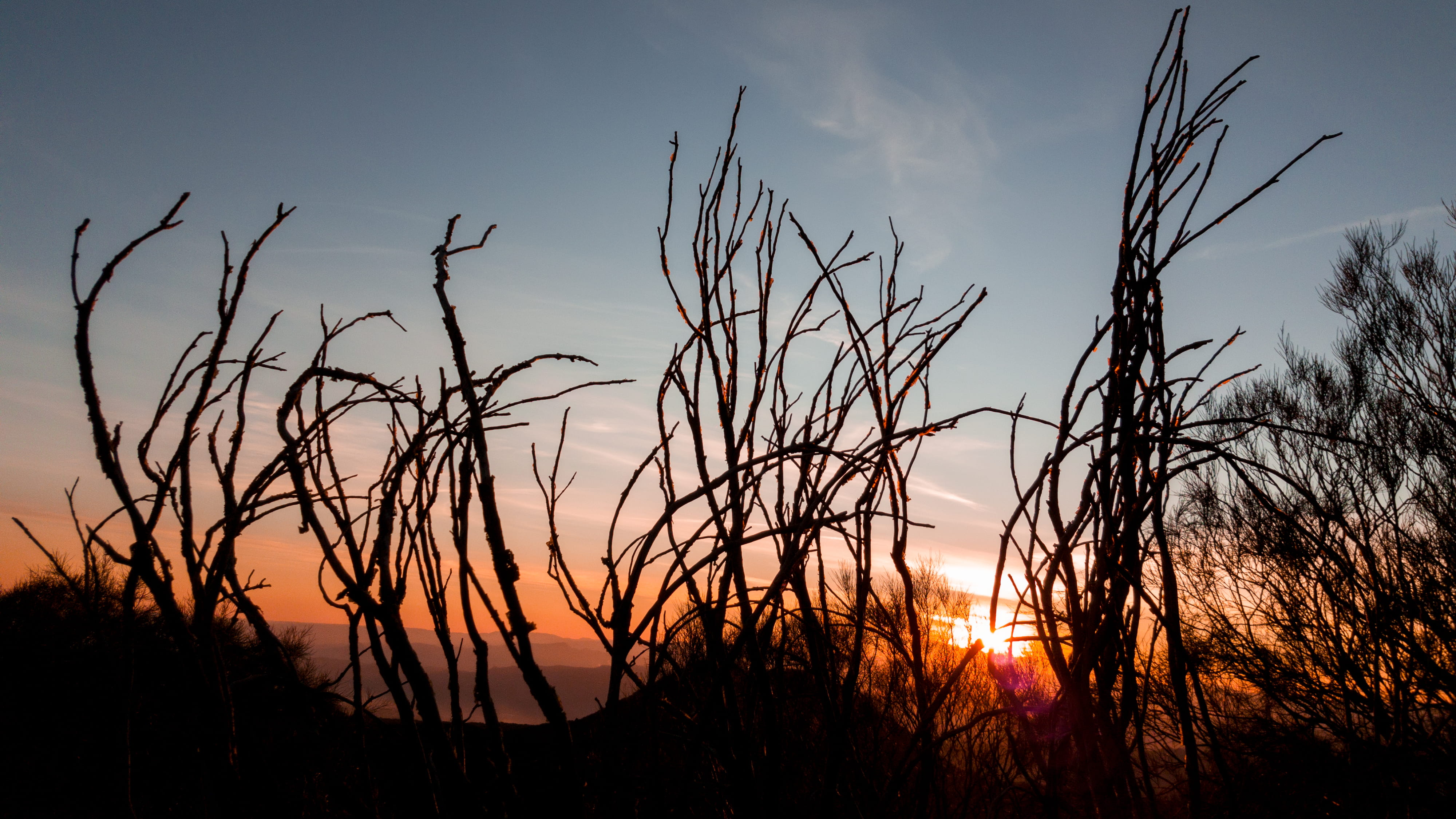 tranquility, field, bare tree, dead plant, land, tree, outdoors, mount etna, branch, tranquil scene, silhouette, scenics - nature, sky, beauty in nature, HD Wallpaper