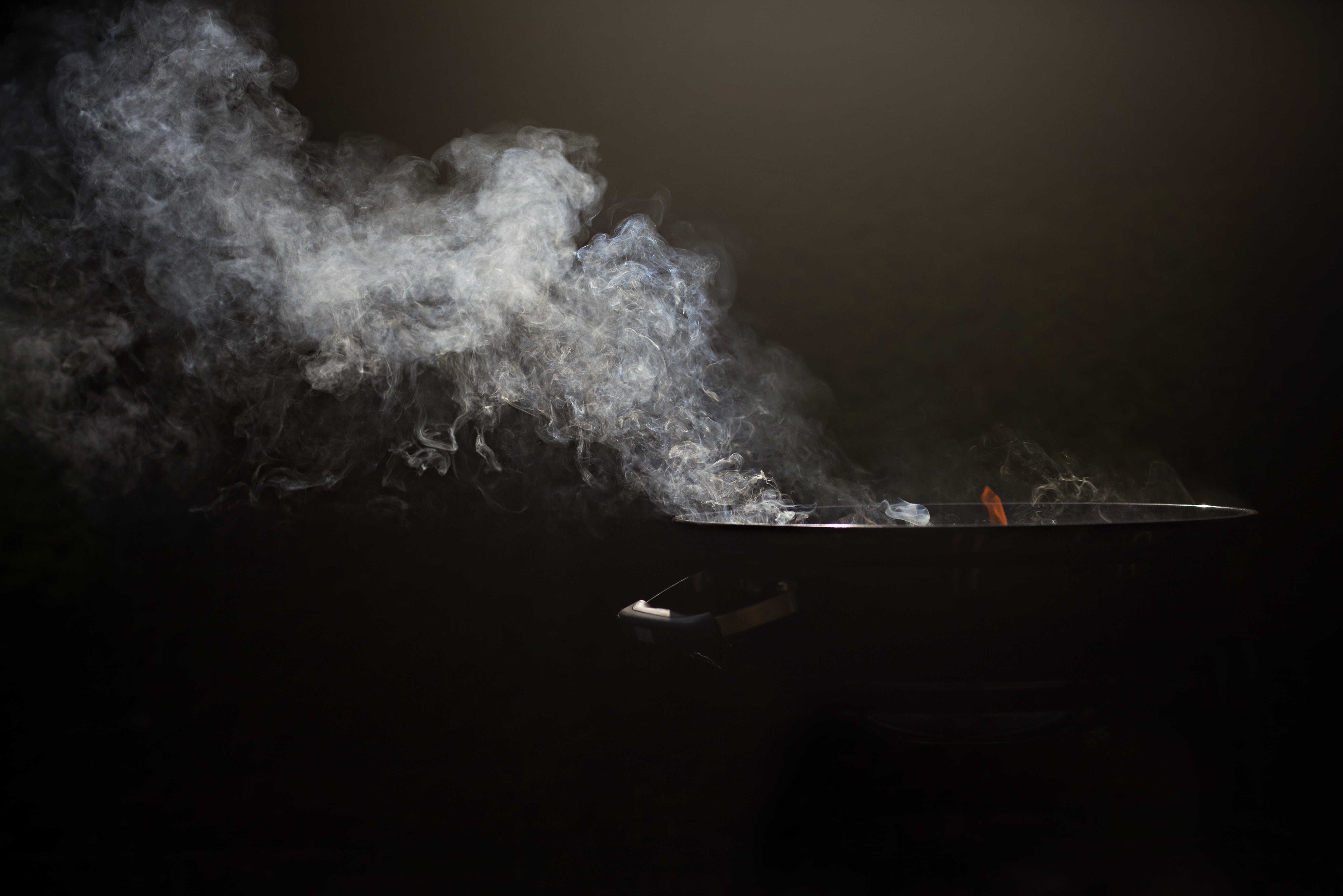 sky, fire, embers, danger, meat, steam, garden, black Color, grilling, summer, water, burn, motion, smoke, charcoal, nature, 5K, wood, food and drink, HD Wallpaper