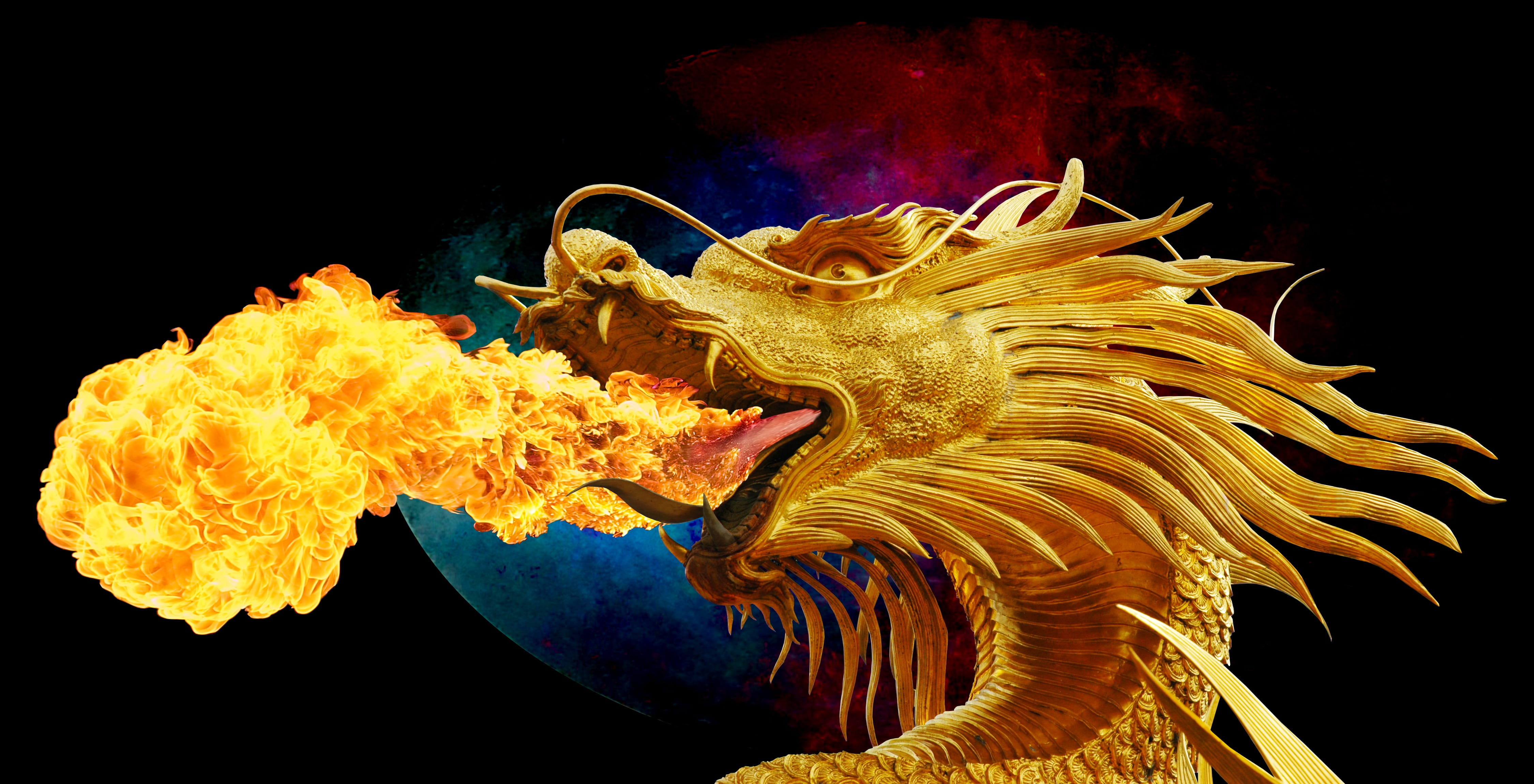 fire breathing, thailand, red, no people, undersea, fire - Natural Phenomenon, animal, animals in the wild, golden dragon, marine, water, indoors, fire, HD Wallpaper