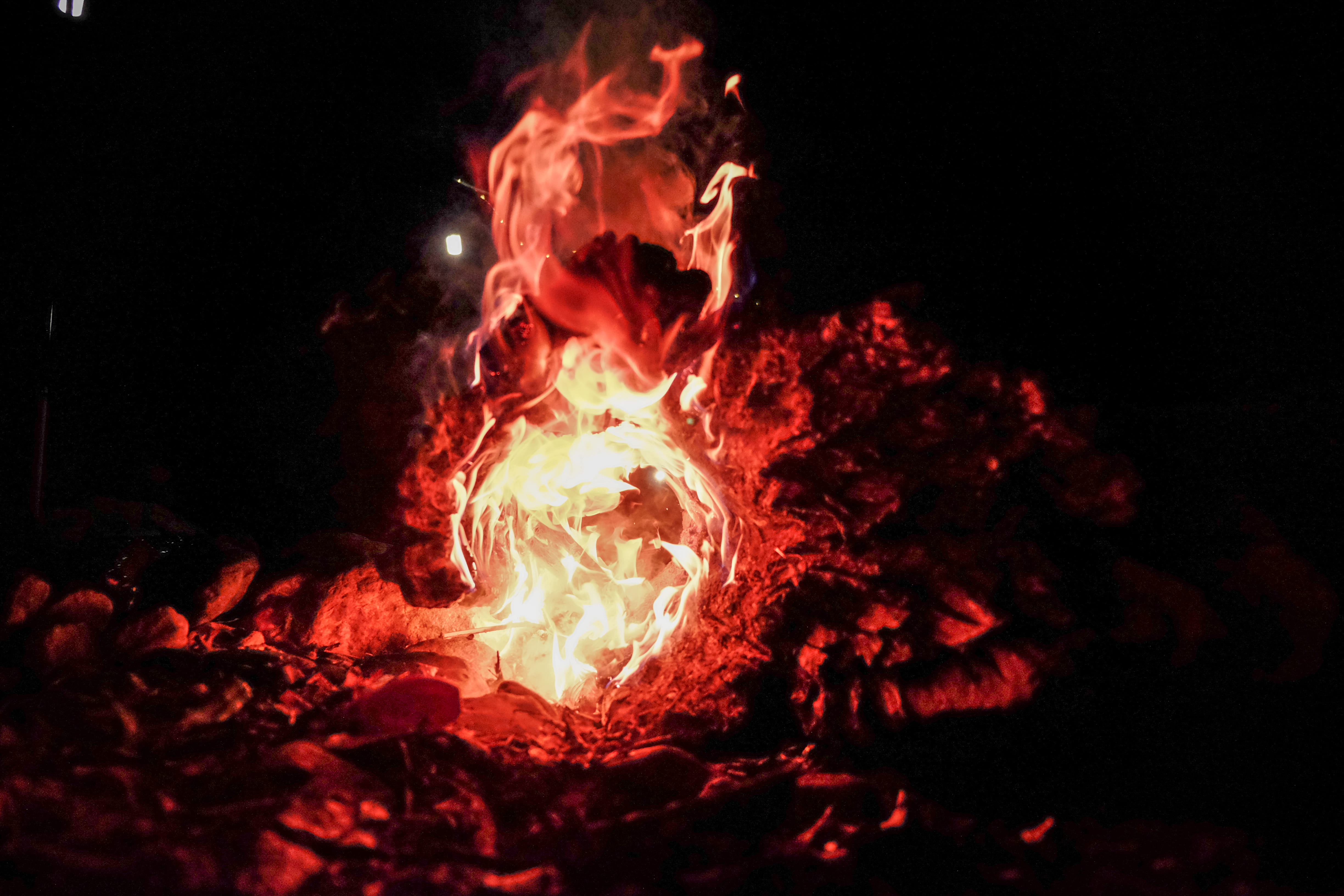 burnt, black background, flames, ash, red, dark, bonfire, smoke, inferno, orange color, photo, blaze, heat, close-up, glowing, fire, motion, flammable, HD Wallpaper
