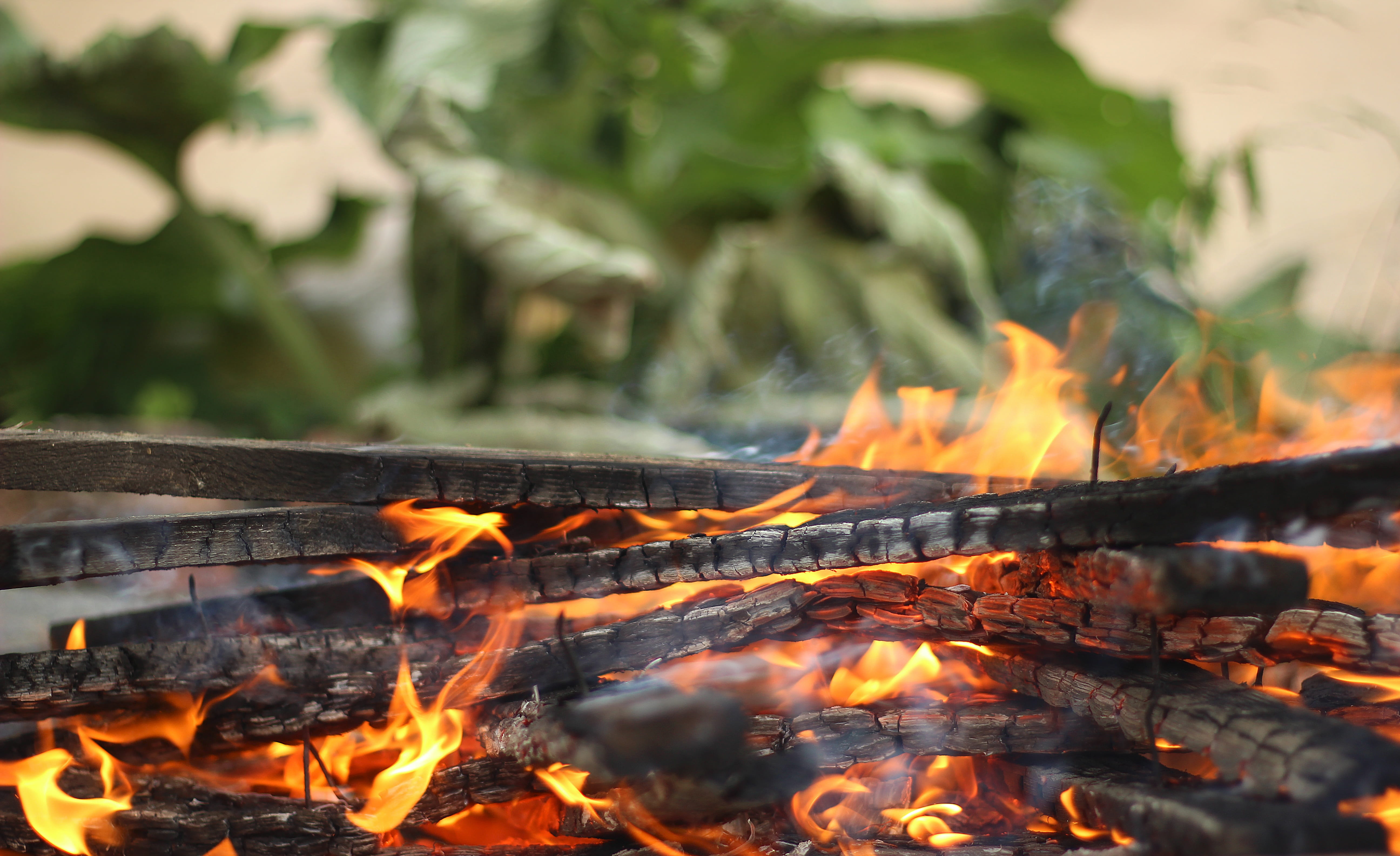 nature, ignite, wood - material, fireplace, detail, grill, firewood, risk, close-up, texture, red, burn, inferno, log, orange, no people, burning, HD Wallpaper