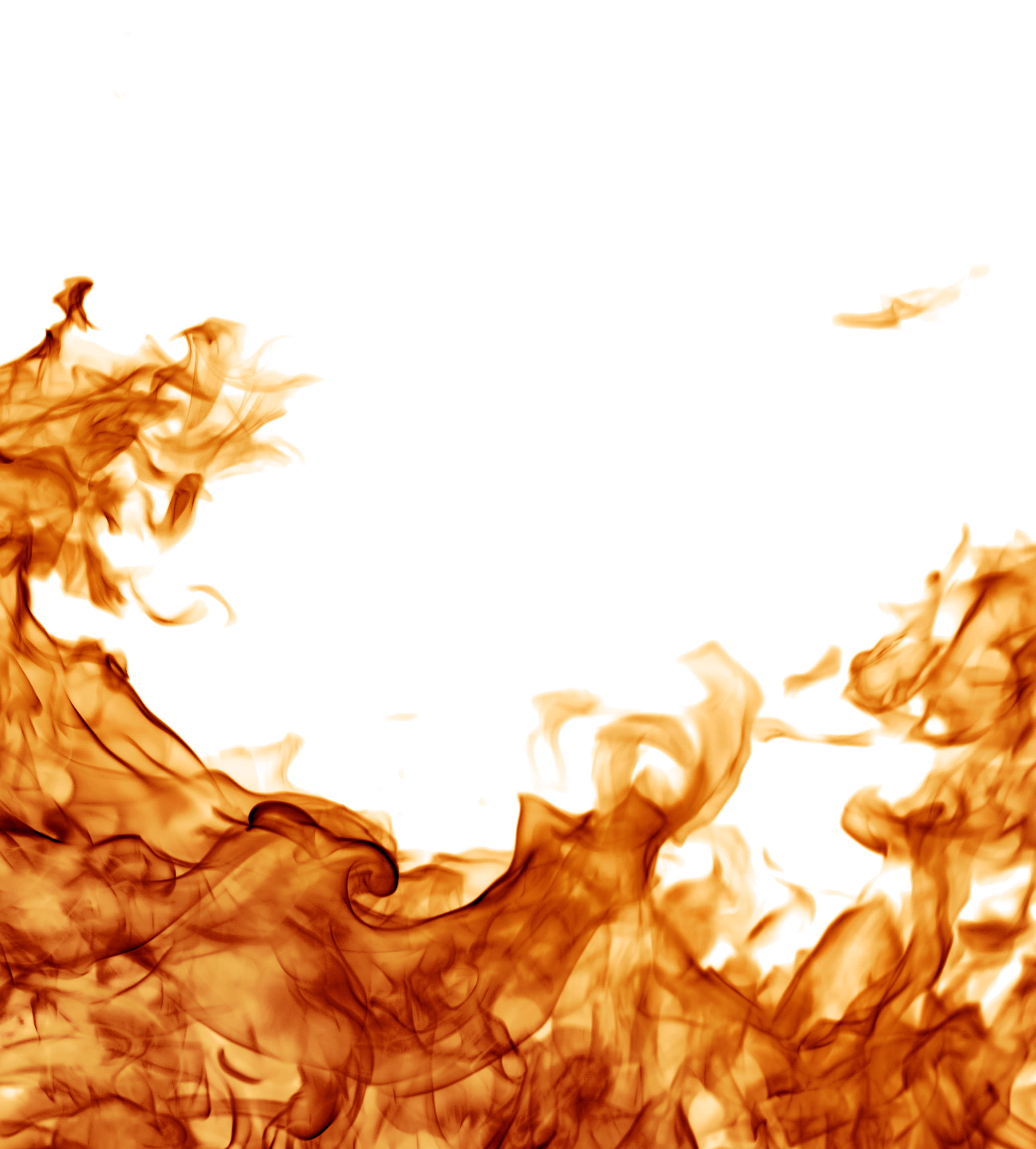 2K, burning, inferno, flame, abstract backgrounds, changing form, hot, studio shot, no people, burn, food and drink, copy-space, white background, textspace, Phone HD Wallpaper