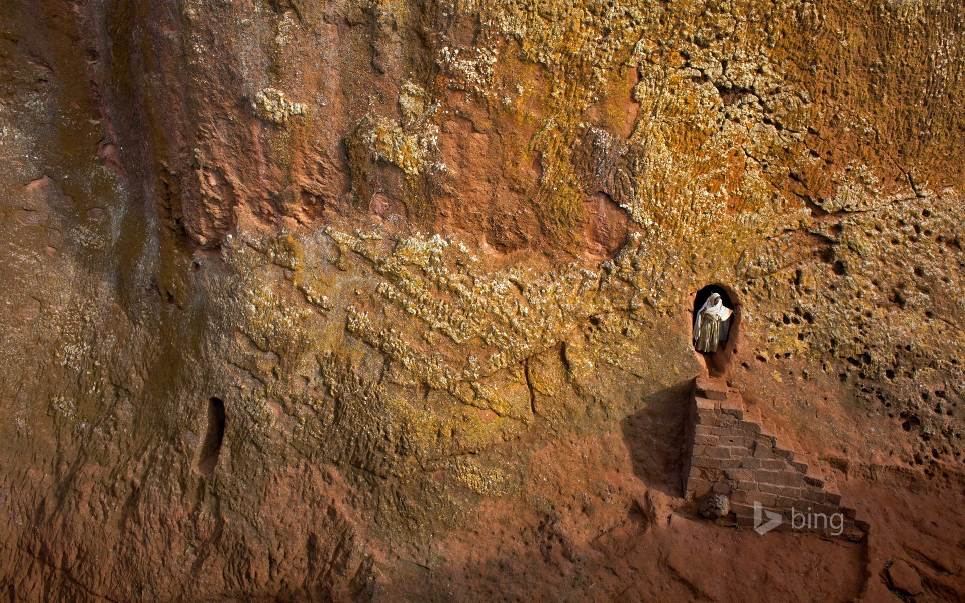 low angle view, rock, old, architecture, animal wildlife, rock formation, animal themes, history, outdoors, the past, animals in the wild, animal, eroded, HD Wallpaper