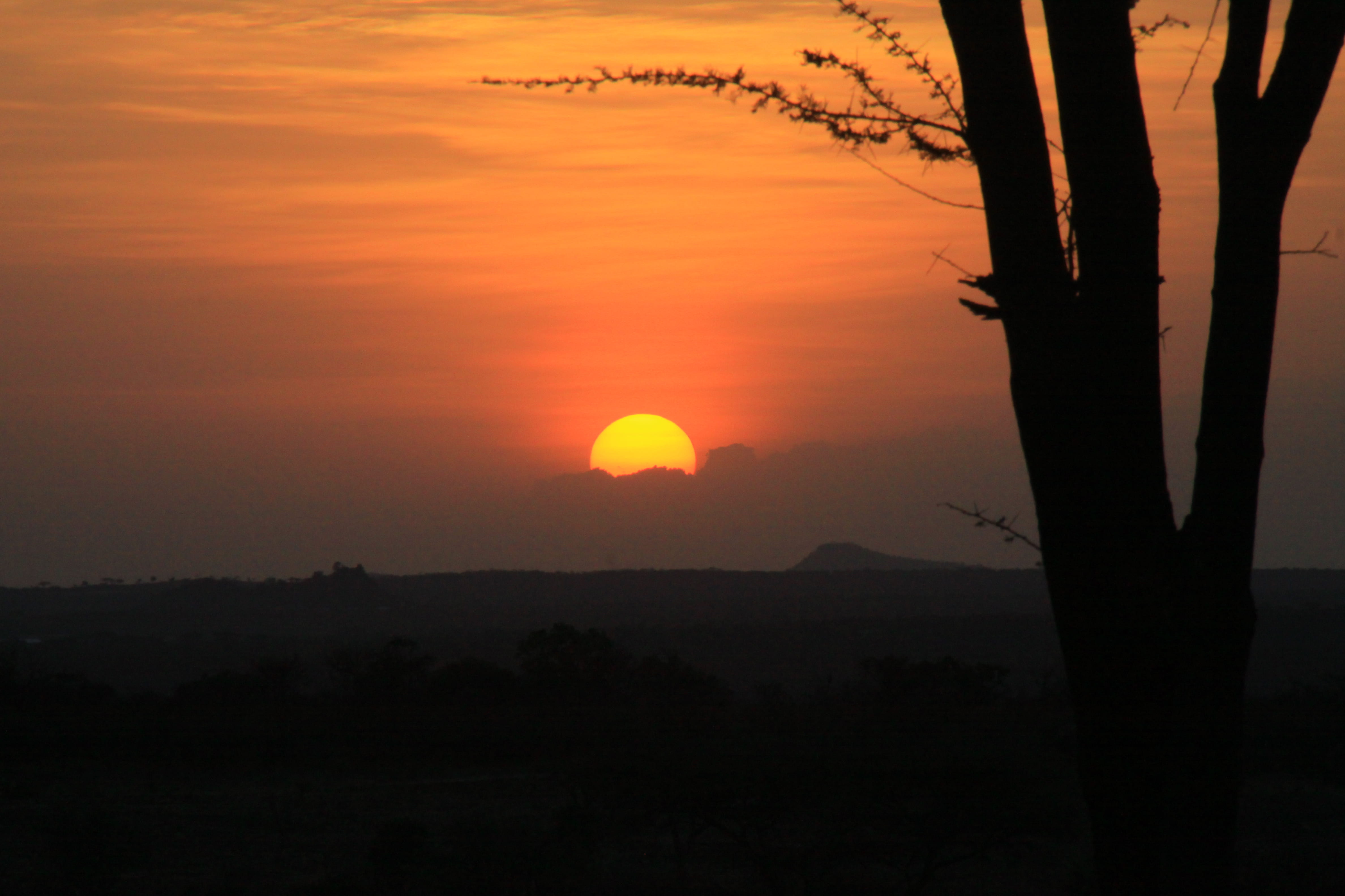 4K, silhouette, orange color, beauty in nature, tranquility, scenics - nature, landscape, omo river, tree, romantic sky, cloud - sky, sky, ethiopia, non-urban scene, HD Wallpaper