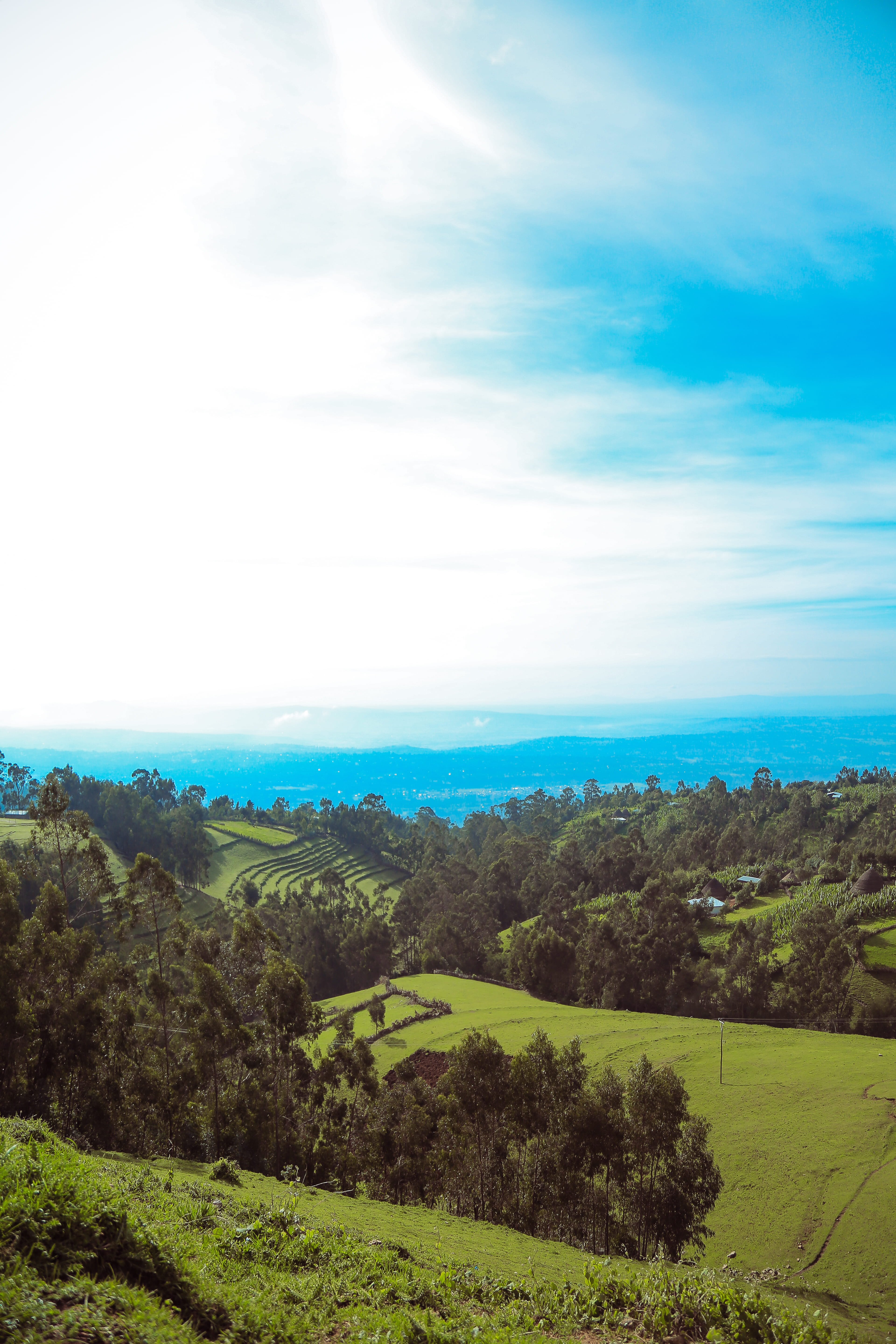 sky, idyllic, green color, ethiopia, growth, beauty in nature, tranquility, cloud - sky, environment, 5K, tranquil scene, tree, plant, non-urban scene, Phone HD Wallpaper