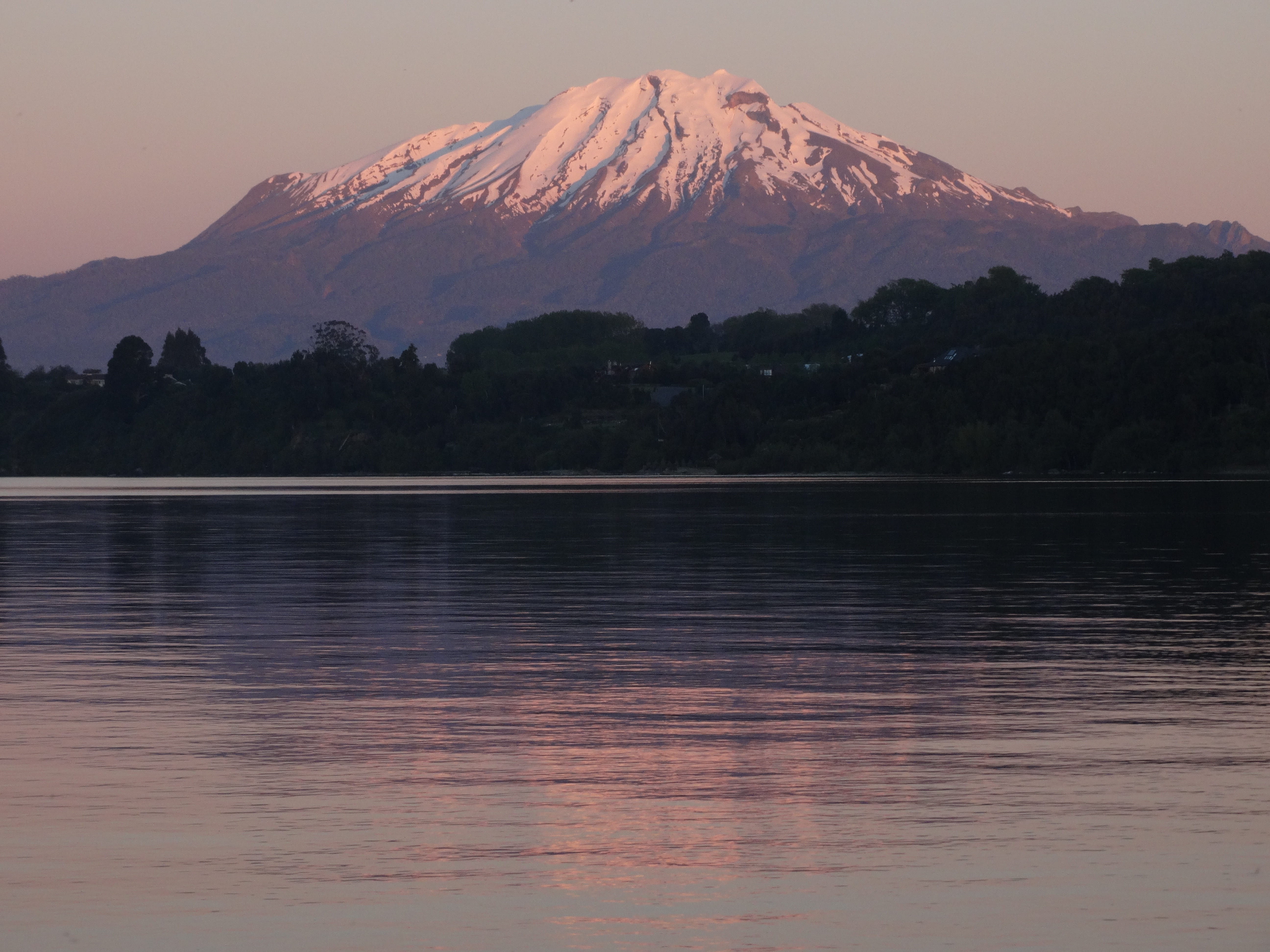 tranquil scene, waterfront, plant, calbuco, beauty in nature, reflection, snowcapped mountain, water, Calbuco Volcano, llanquihue, mountain, tranquility, HD Wallpaper