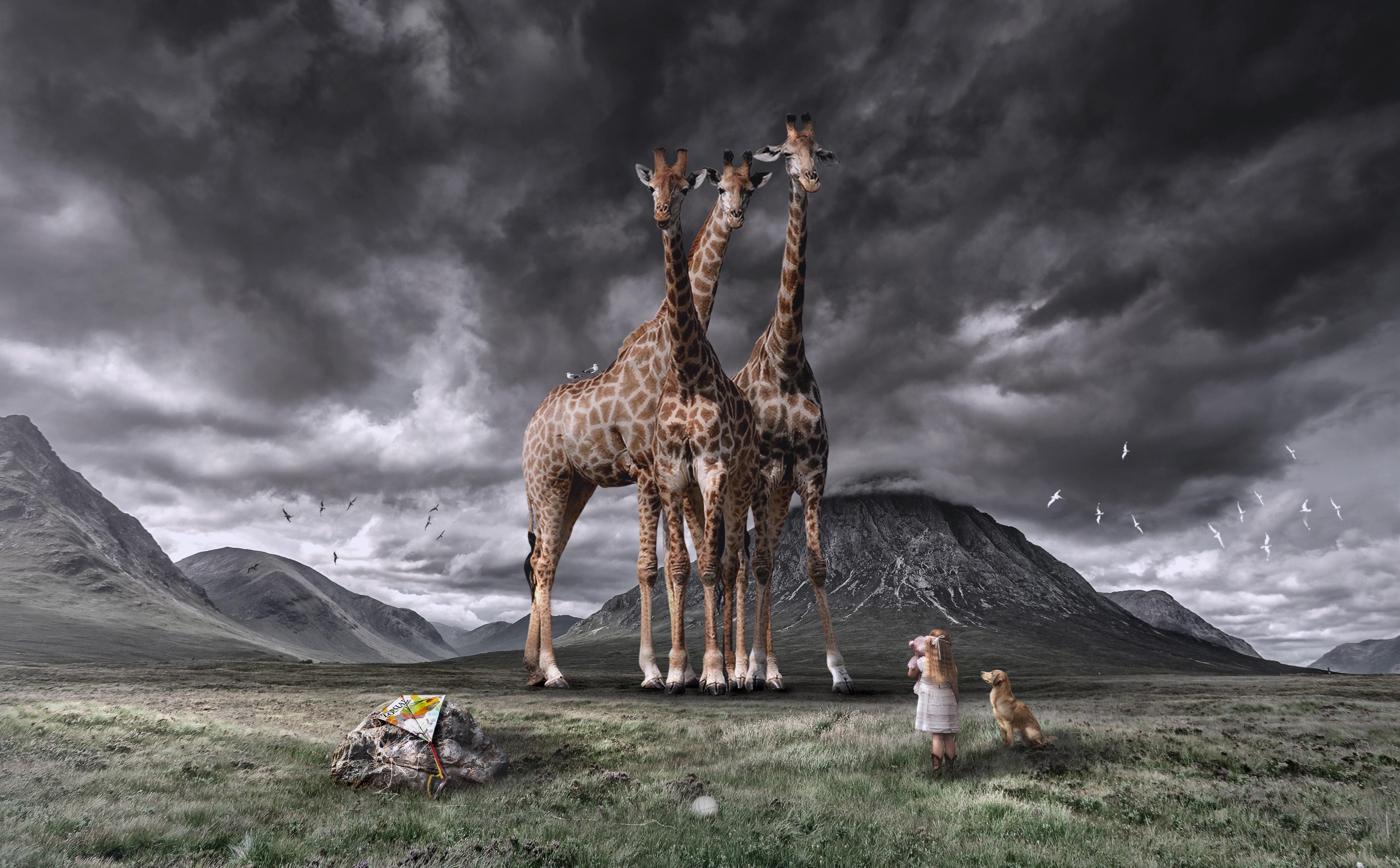 digital composite, interaction, land, wildlife, Creative, photomanipulation, Aero, 5K, scenics - nature, Landscape, cloud - sky, surreal, people, Giant, HD Wallpaper