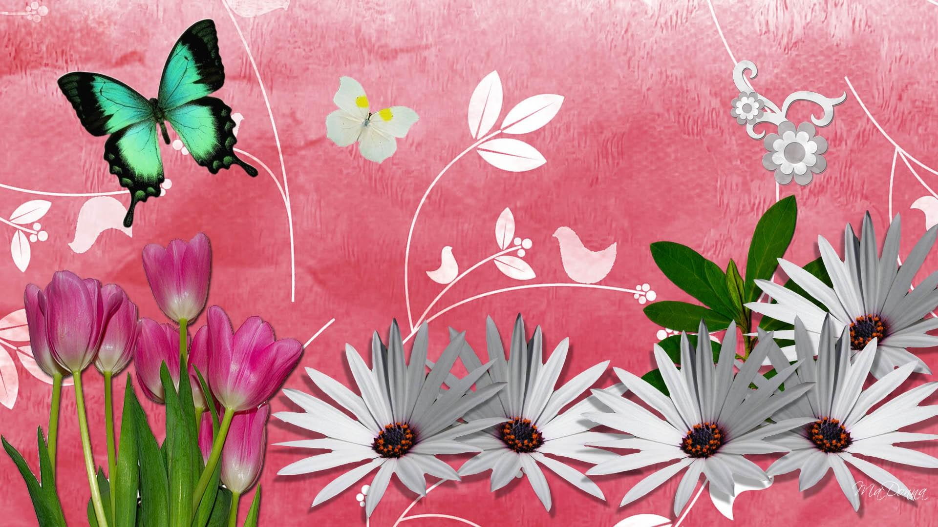flowers, 1080P, firefox persona, butterflies, daisies, magic, 3d and abstract, abstract, springtime, leaves, tulips, HD Wallpaper