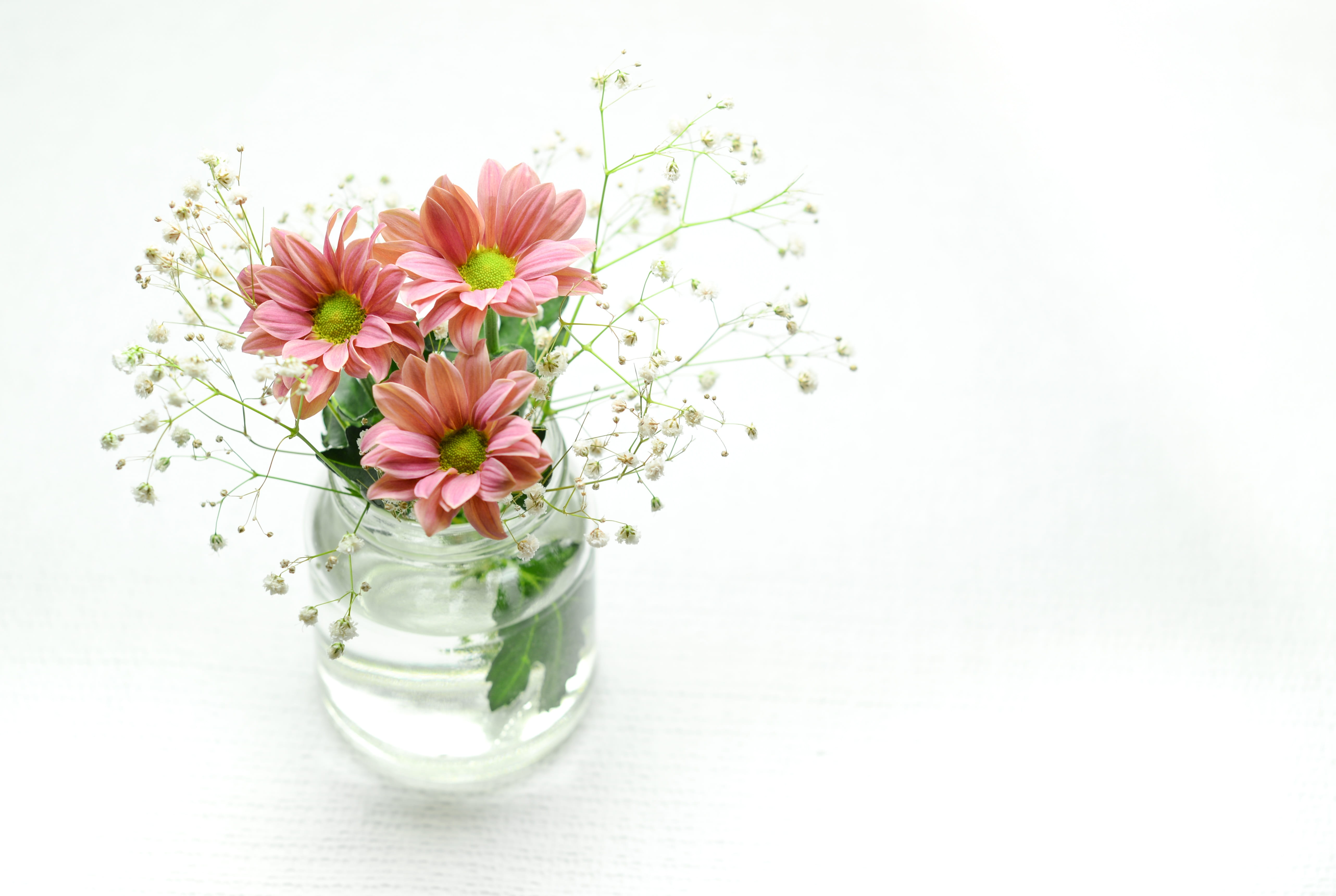 baby, flower, bunch of flowers, green, clear, leaf, decorative, pink color, vulnerability, decoration, blossom, flowering plant, pink, floral, freshness, HD Wallpaper