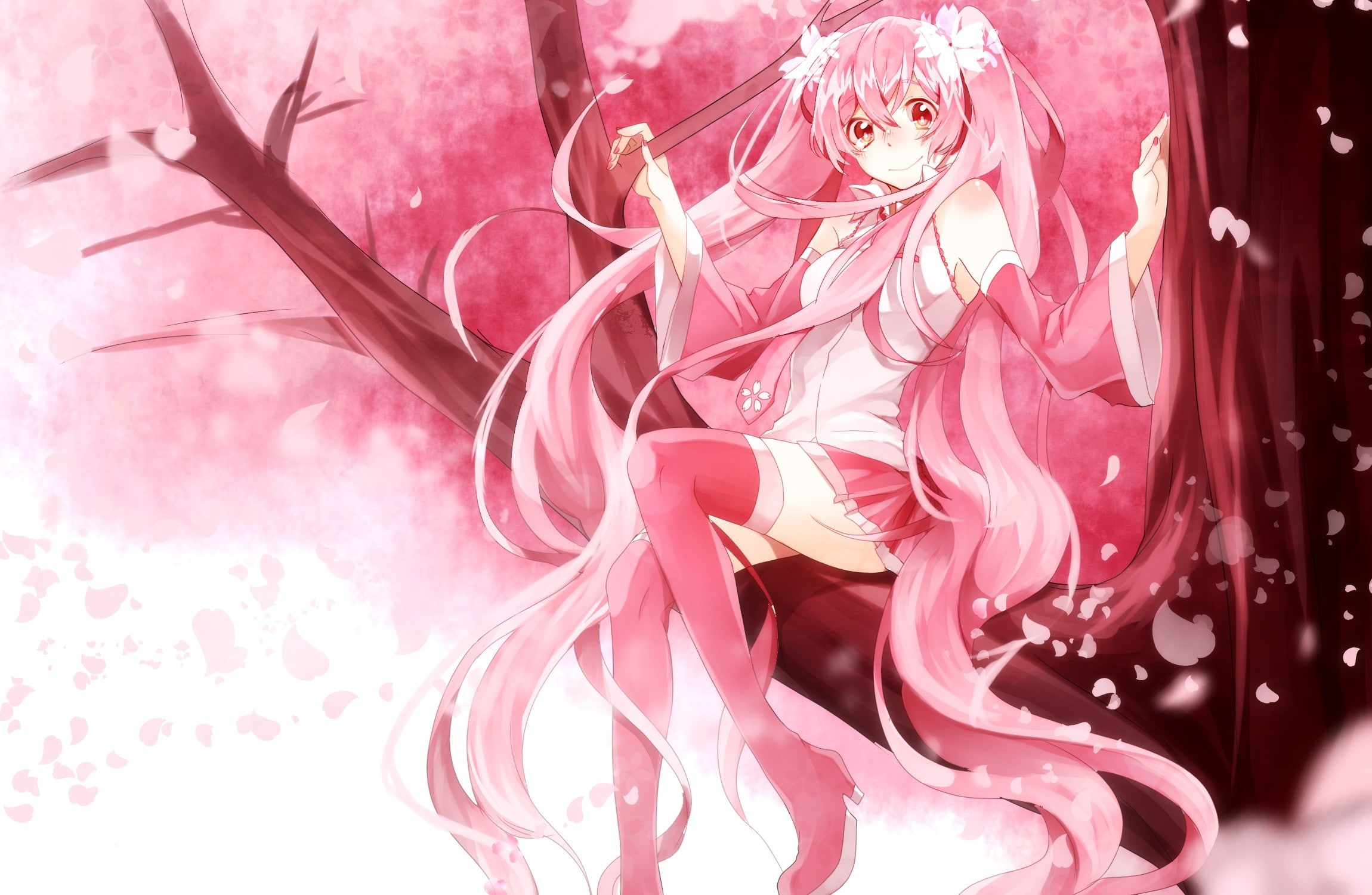 twintails, indoors, pink color, nature, celebration, flower, Vocaloid, no people, still life, Hatsune Miku, Sakura Miku, abstract, 1080P, ribbon, plant, HD Wallpaper
