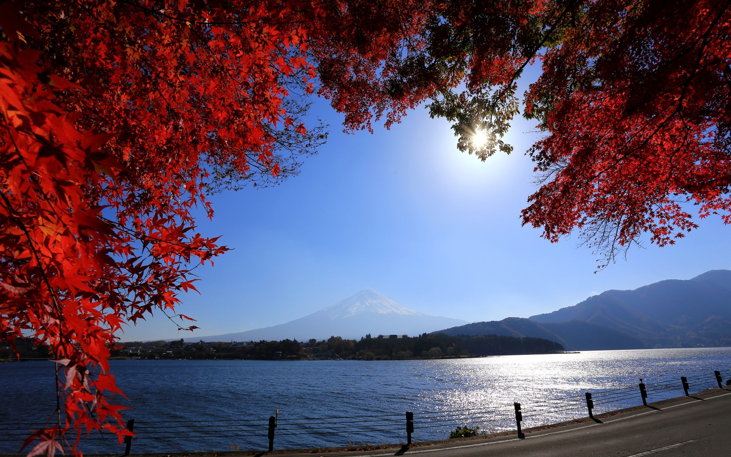 Fuji, Red, 2K, Twigs, Road, mount, Leaves, River, Japan, Sun, HD Wallpaper