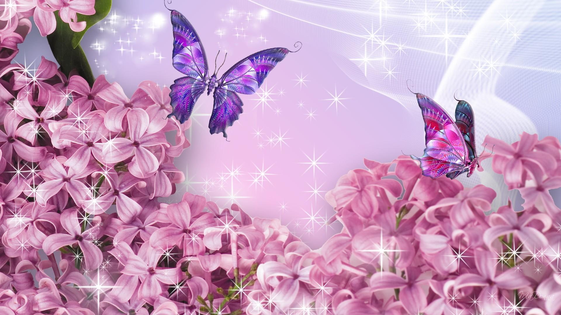 shine, pink, flowers, butterflies, spring, lilacs, 1080P, stars, blue, firefox persona, netting, 3d, lavender, silk, HD Wallpaper
