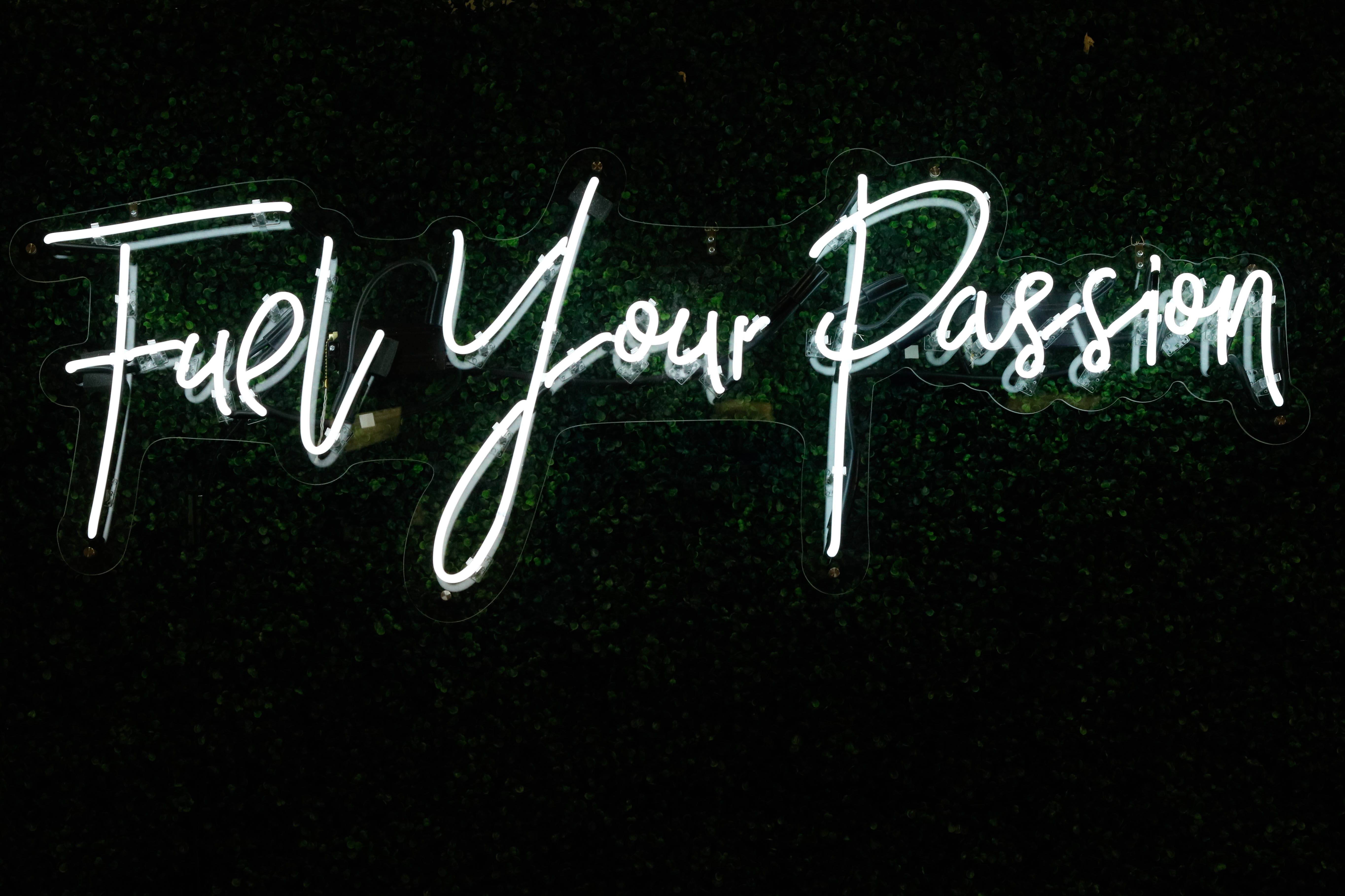 creativity, blackboard, blade, emotion, words, no people, love, studio shot, passion, black background, communication, alphabet, neon, word, neon sign, HD Wallpaper