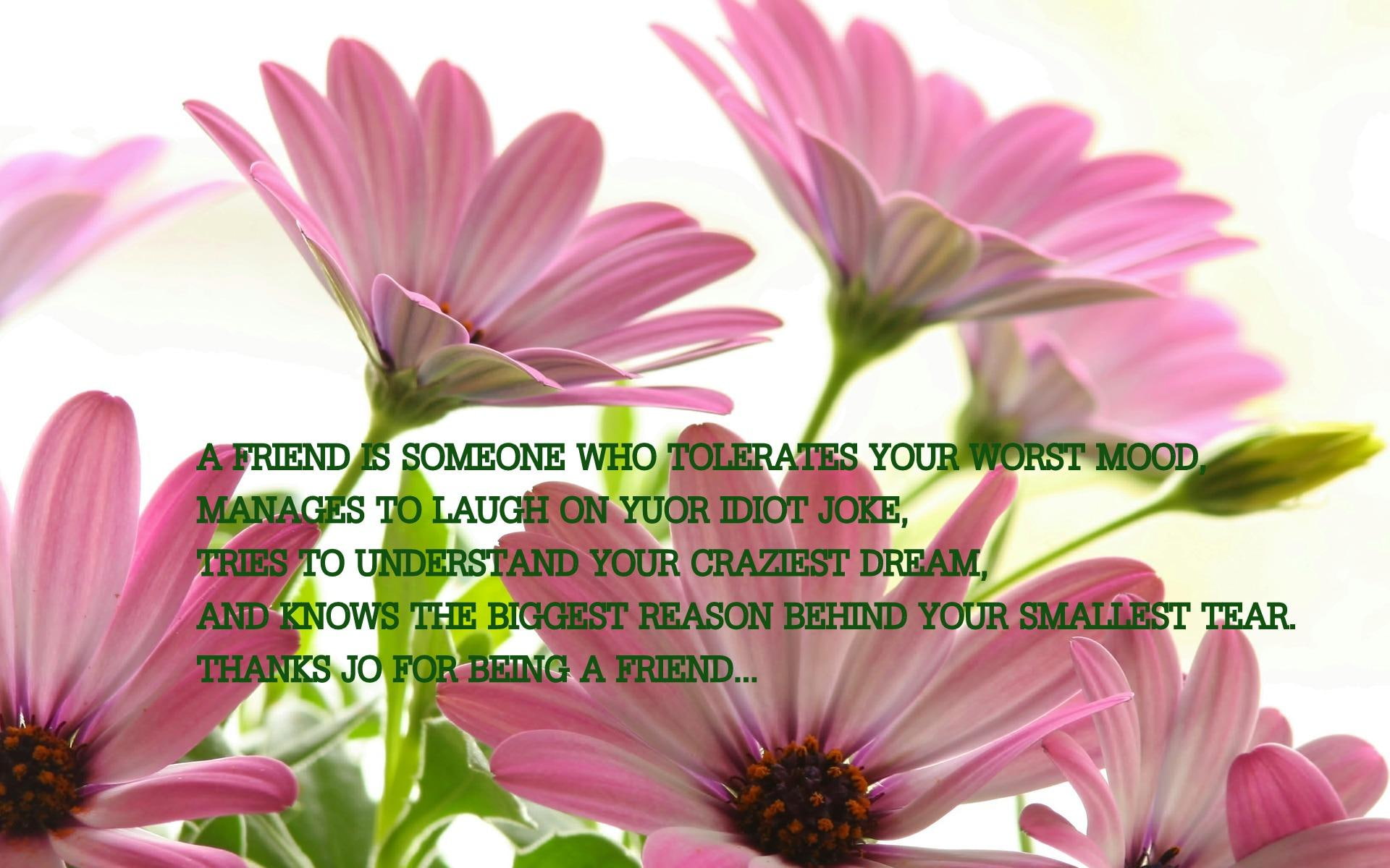 someone, thoughts, nice, 1080P, flowers, mood, text, worst, 3d and abstract, pretty, friendship, tolerates, friend, HD Wallpaper