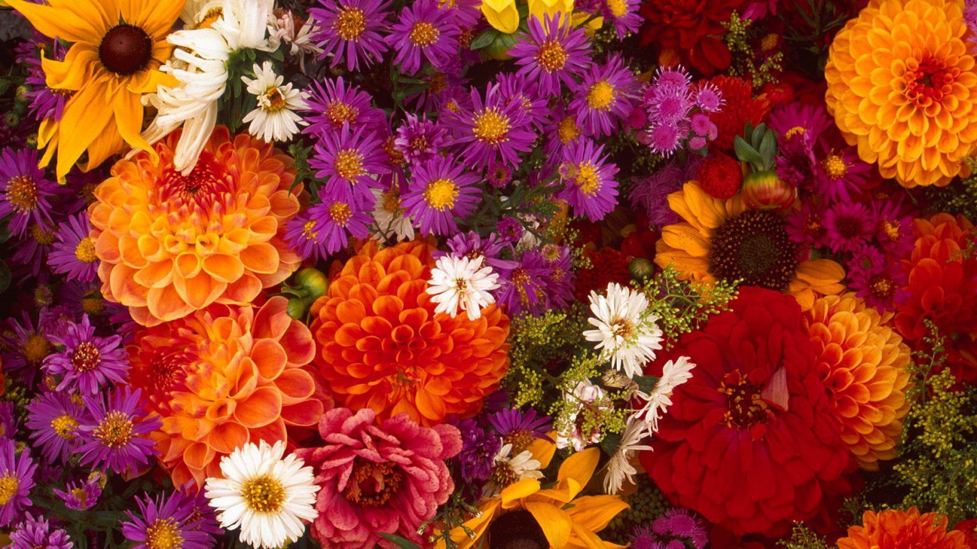 flower arrangement, bouquet, botanical, colorful, pink, inflorescence, high angle view, natural, close-up, flowers, design, fragility, floral, romance, HD Wallpaper