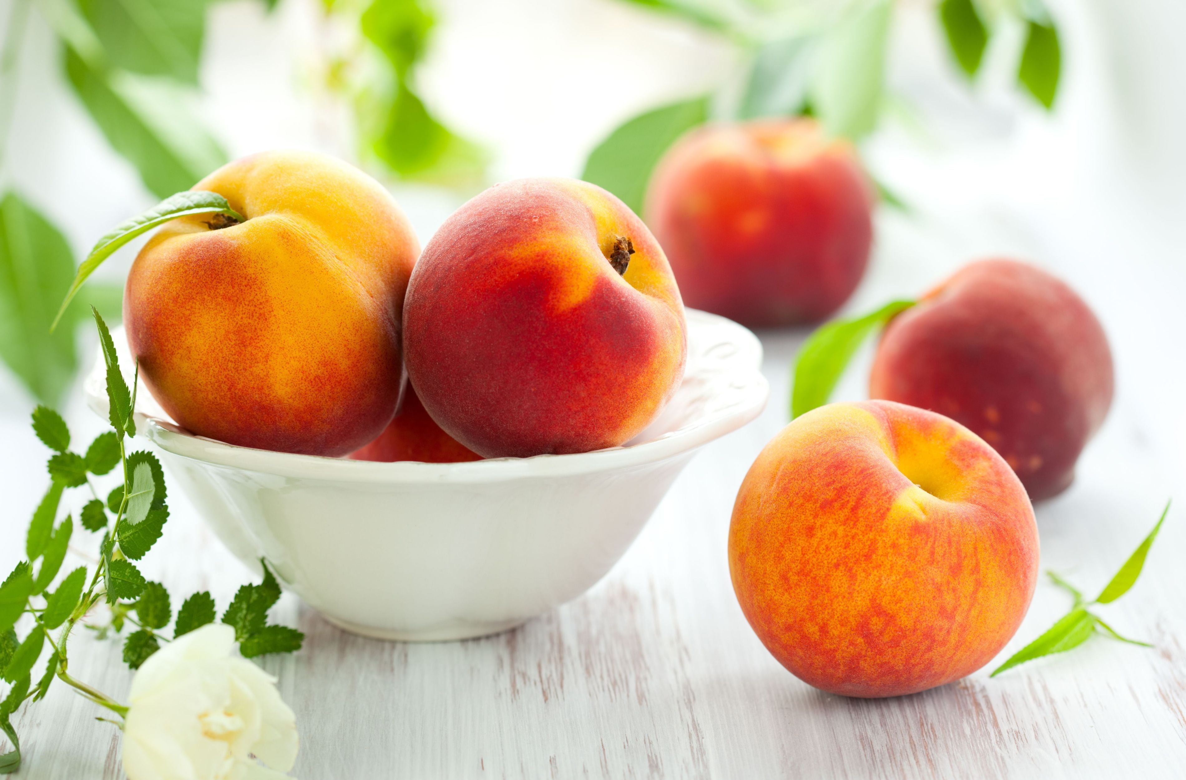 wood - Material, summer, 2K, bowl, green Color, table, organic, red, indoors, focus on foreground, vitamin, dieting, yellow, nectarine, agriculture, peaches, HD Wallpaper