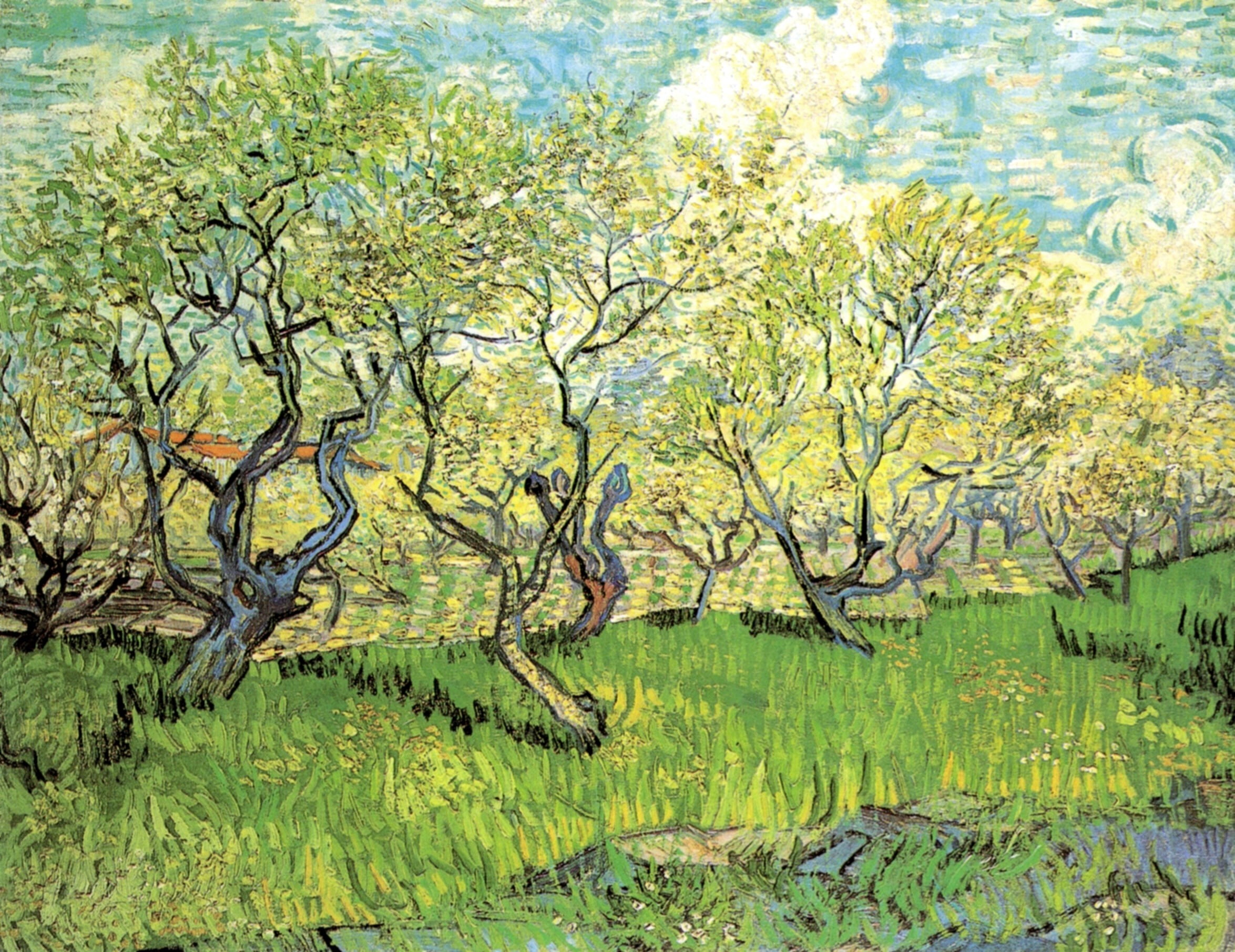clouds, Vincent van Gogh, trees, Orchard, 1080P, in Blossom 2, grass, HD Wallpaper