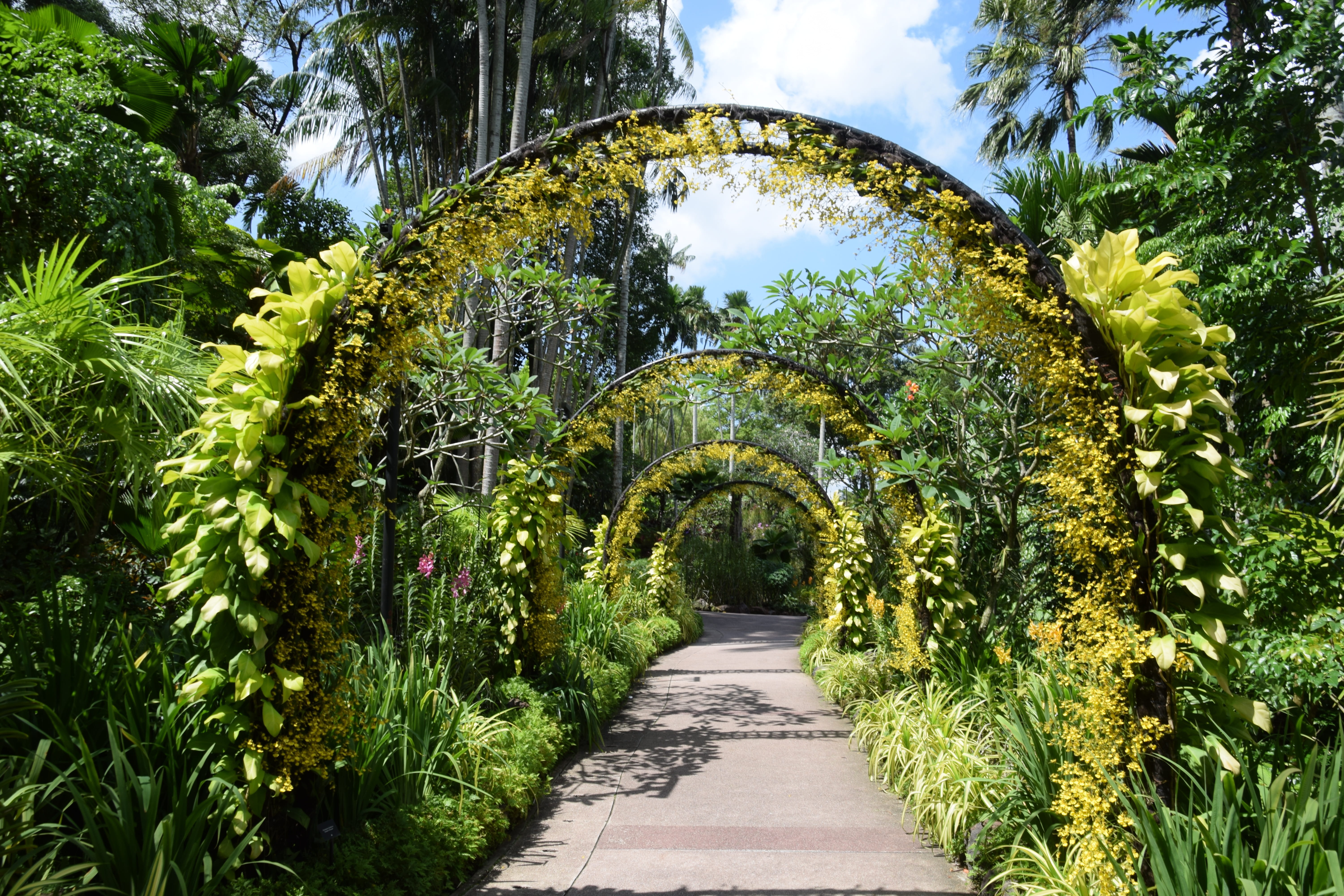 park, plants, 5K, sky, garden path, pathway, green color, concrete, green, leaf, singapore, nature, growth, outdoors, beauty in nature, the way forward, HD Wallpaper