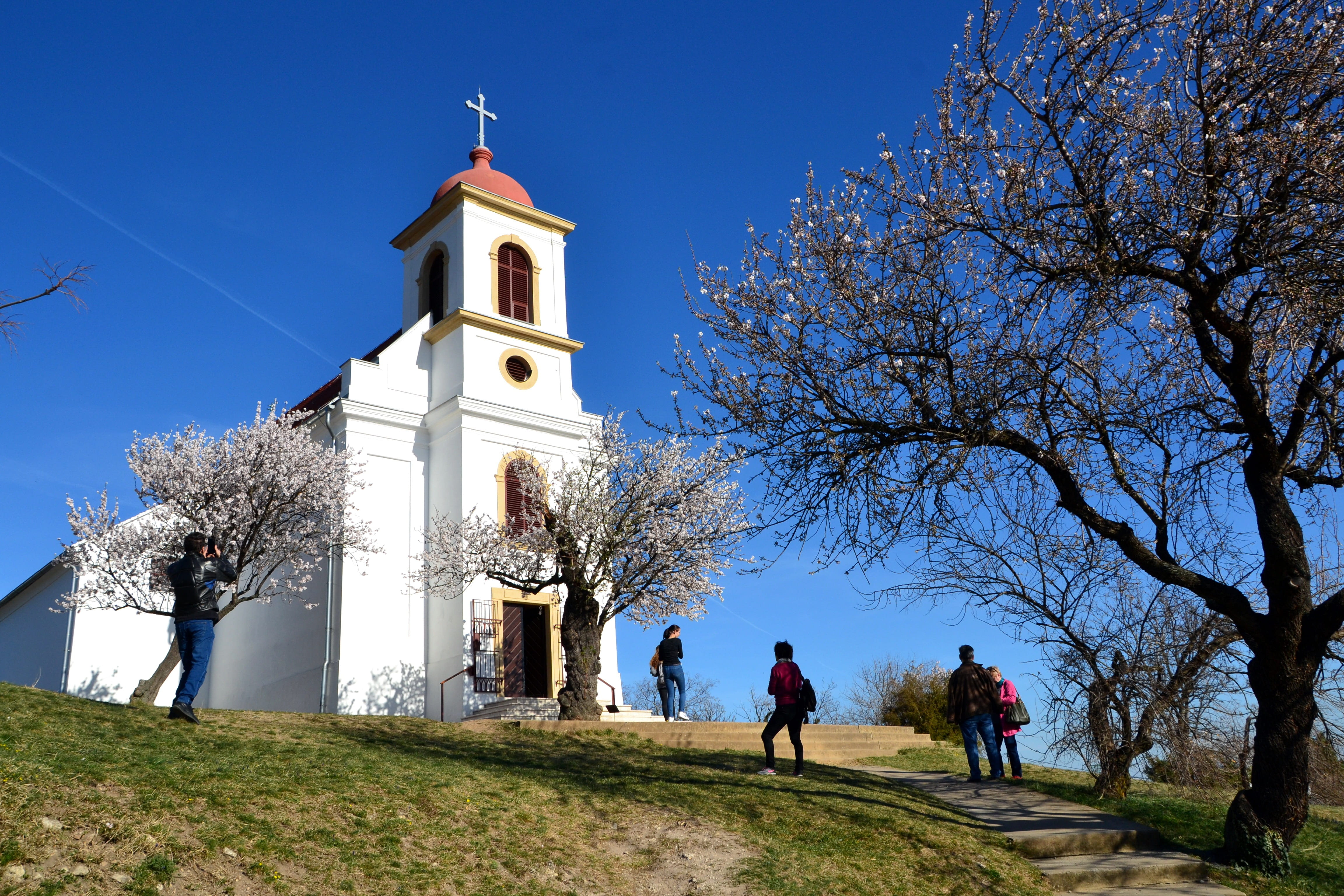 building, place of worship, grass, the years tree, group of people, pecs, church, mandulafa, flower, nature, day, wood, places of interest, hikers, tower, HD Wallpaper
