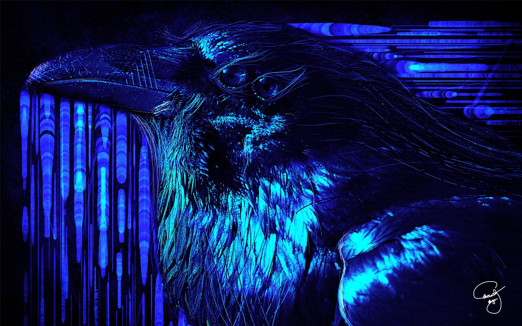 one animal, bird, eye, psychedelic, animal wildlife, animal, domestic, animal themes, no people, animal body part, animal head, vertebrate, focus on foreground, HD Wallpaper