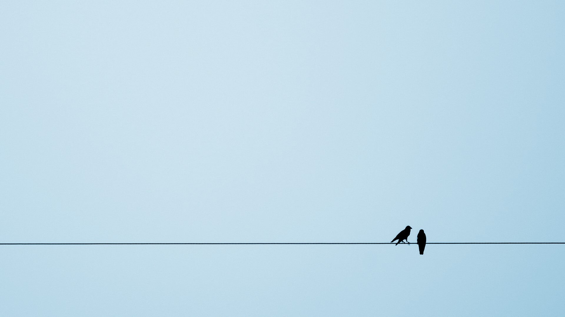 copy space, silhouette, 1080P, perching, low angle view, European magpie, vertebrate, animals in the wild, animal themes, clear sky, blue, birds, sky, HD Wallpaper