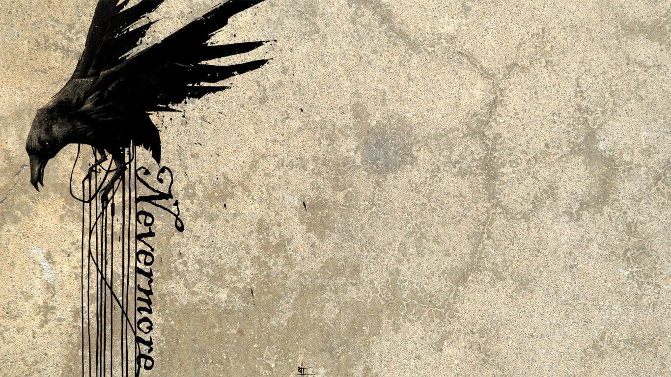 Nevermore, nature, animal themes, art, wall, western script, day, sunlight, outdoors, 720P, birds, tree, animals, wall - building feature, shadow, grunge, HD Wallpaper