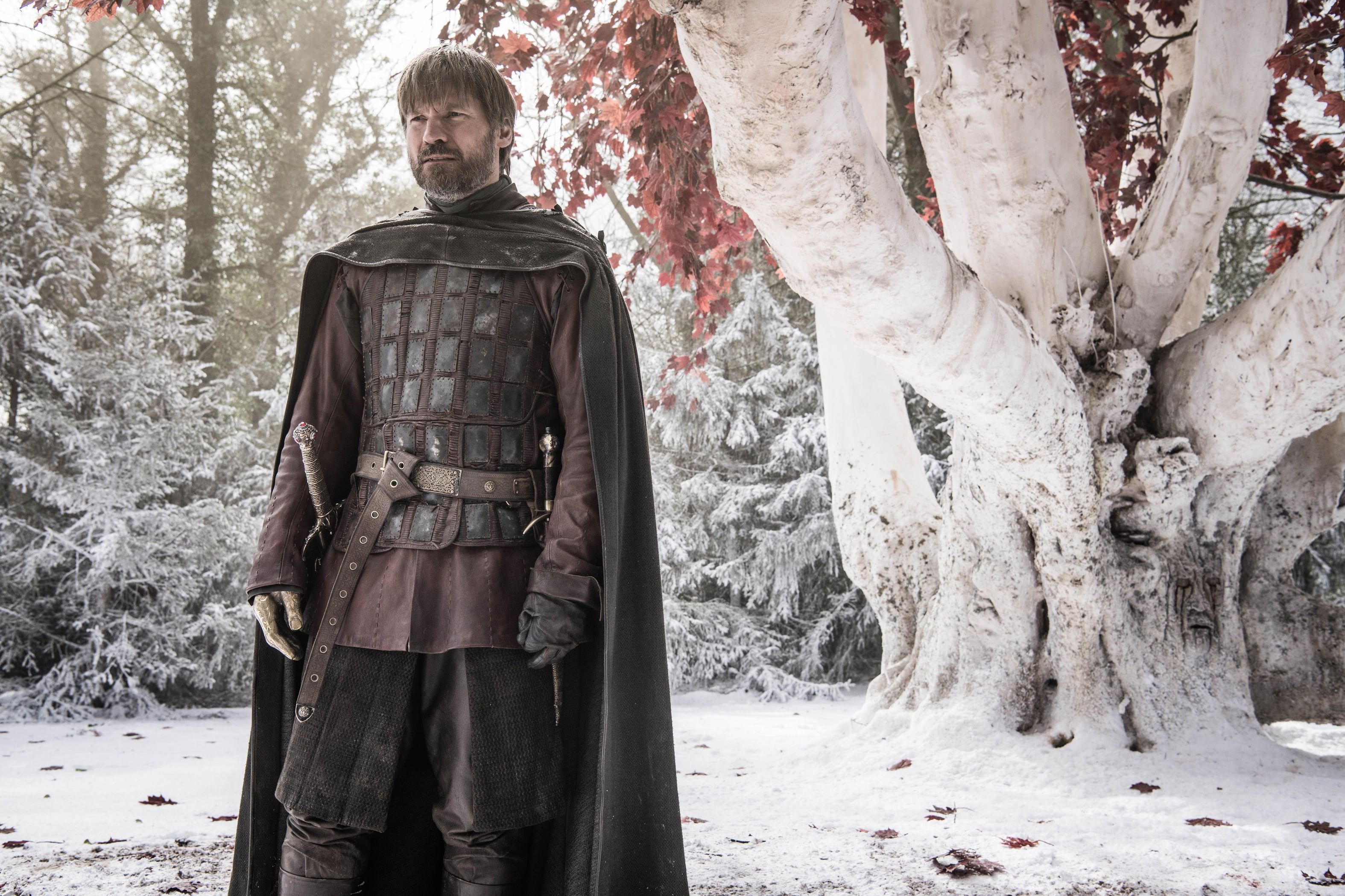 Jaime Lannister, Jaime, armor, Nikolaj Coster-Waldau, warrior, the Kingslayer, 2K, king layer, game of thrones, winter, a song of ice and fire, tree, HD Wallpaper