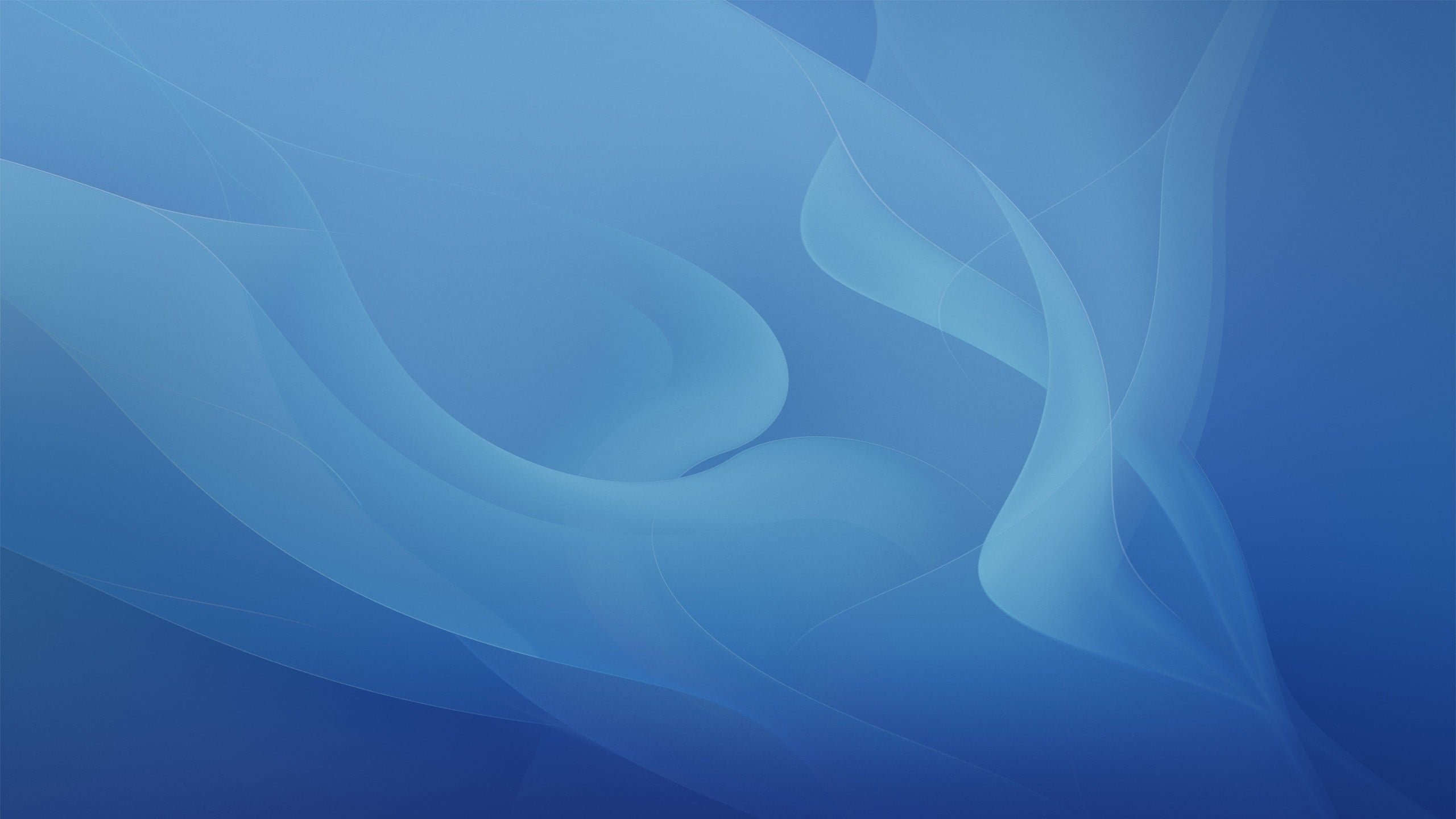 studio shot, water, pattern, changing form, vulnerability, swirl, blue, flowing, fragility, abstract backgrounds, blue background, 2K, backgrounds, indoors, HD Wallpaper