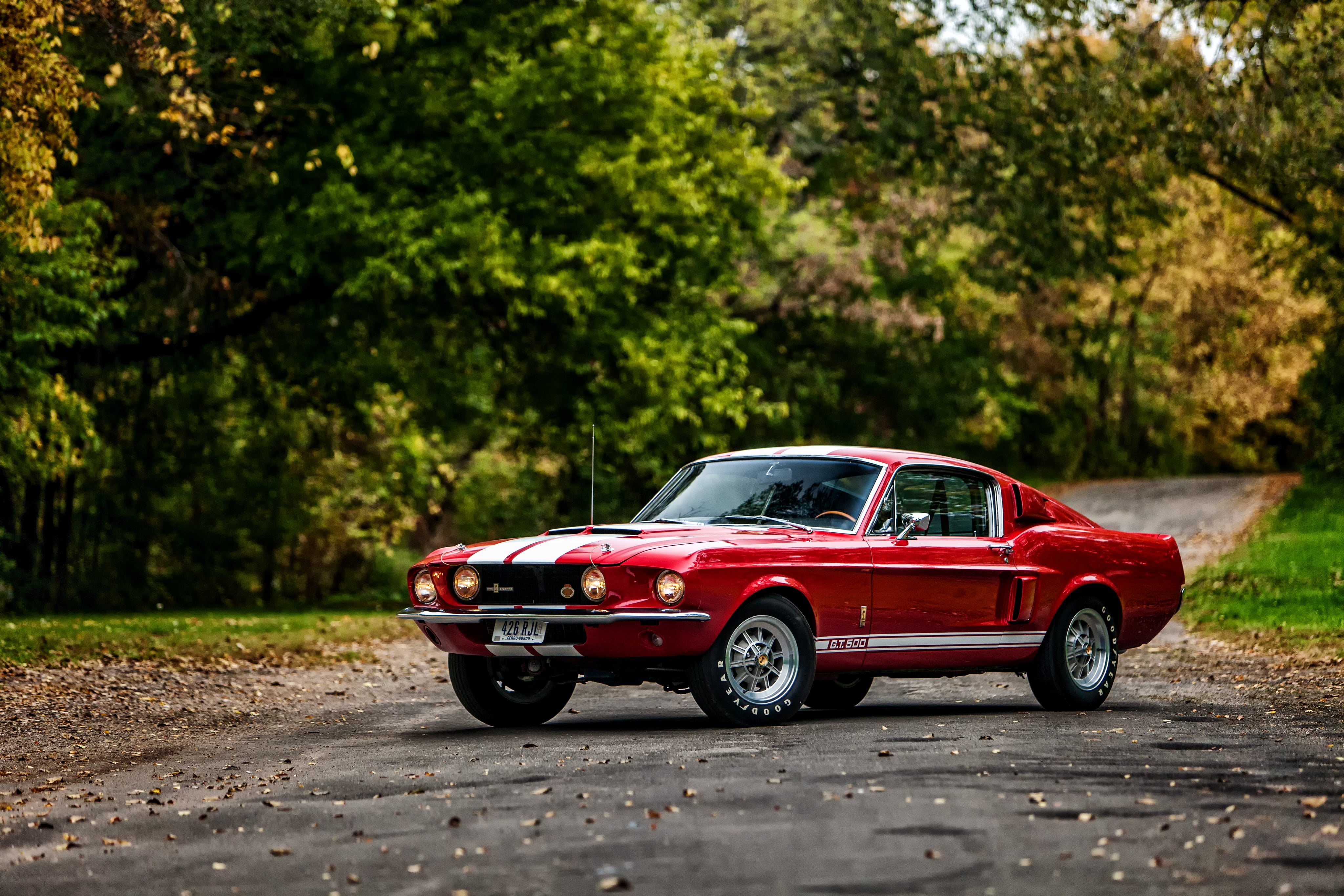 selective focus, outdoors, transportation, road, car, mode of transportation, nature, plant, Shelby, with LeMans stripes option, day, street, travel, Ford, HD Wallpaper