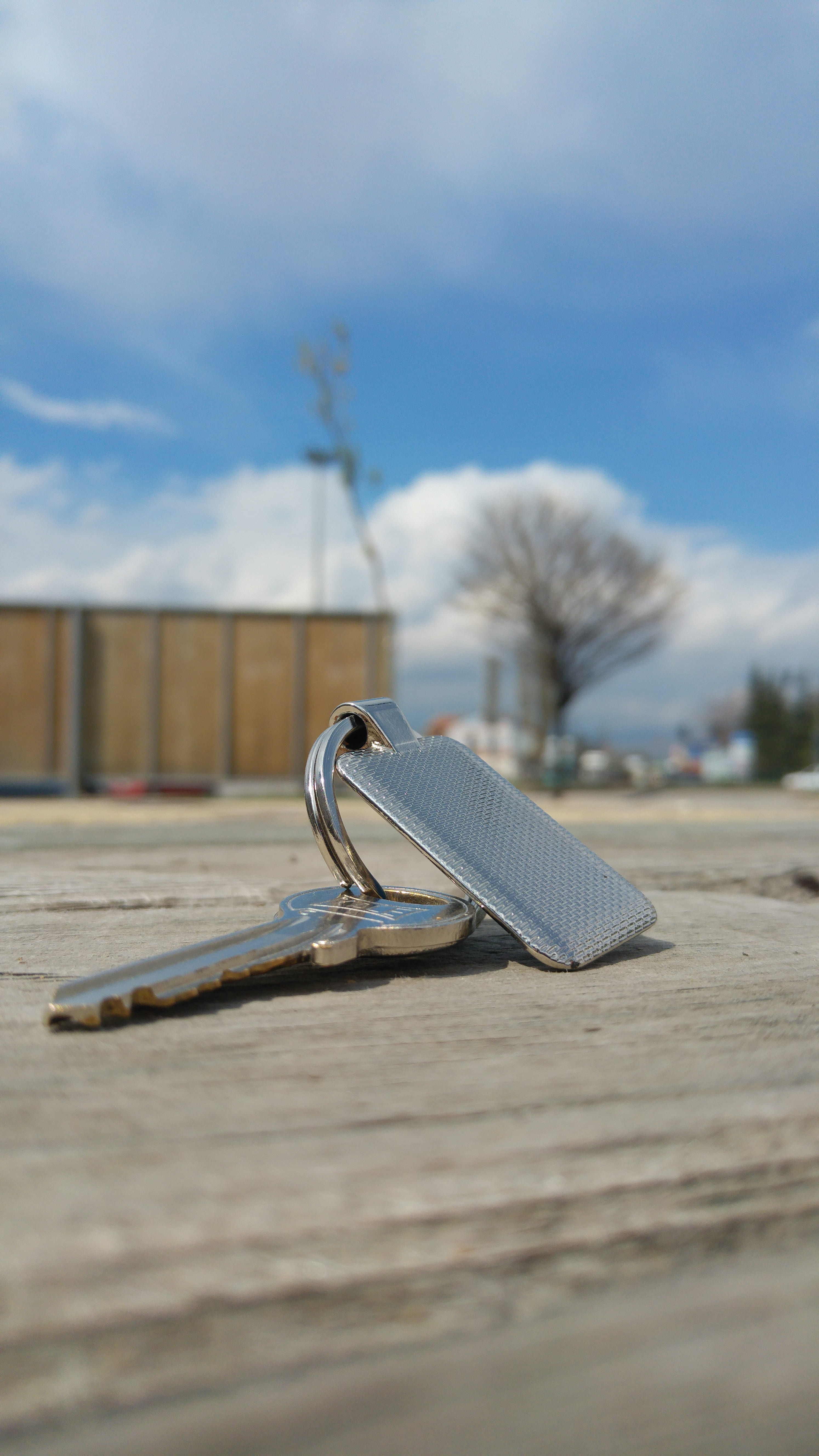 nature, keychain, detail, decor, no people, day, selective focus, web design, wood - material, 5K, surface level, introduction, shiny, design, focus on foreground, Phone HD Wallpaper