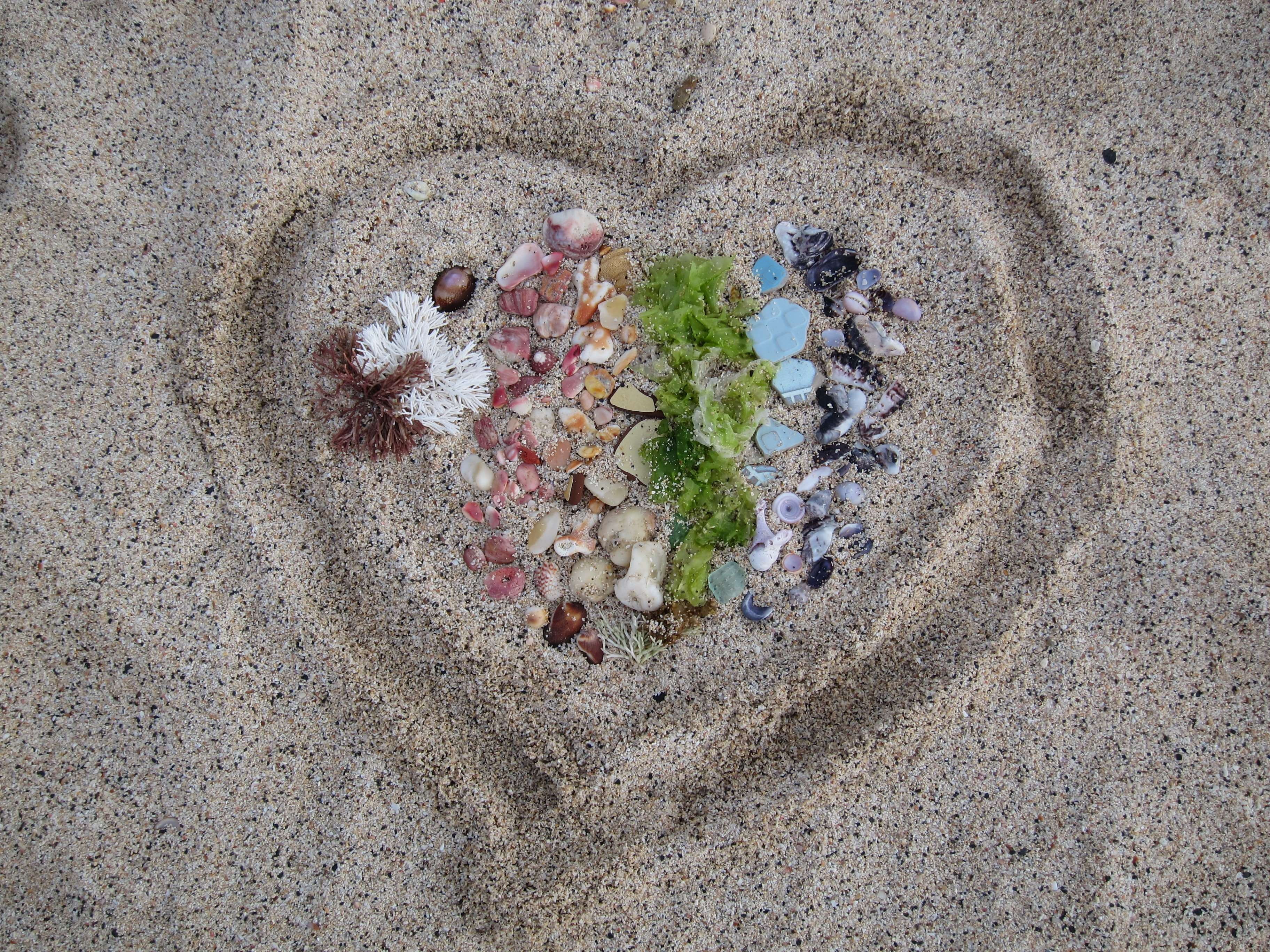 fragility, love, sand, directly above, sand beach, flower, introduction, high angle view, outdoors, flowering plant, close-up, land, day, beauty in nature, HD Wallpaper