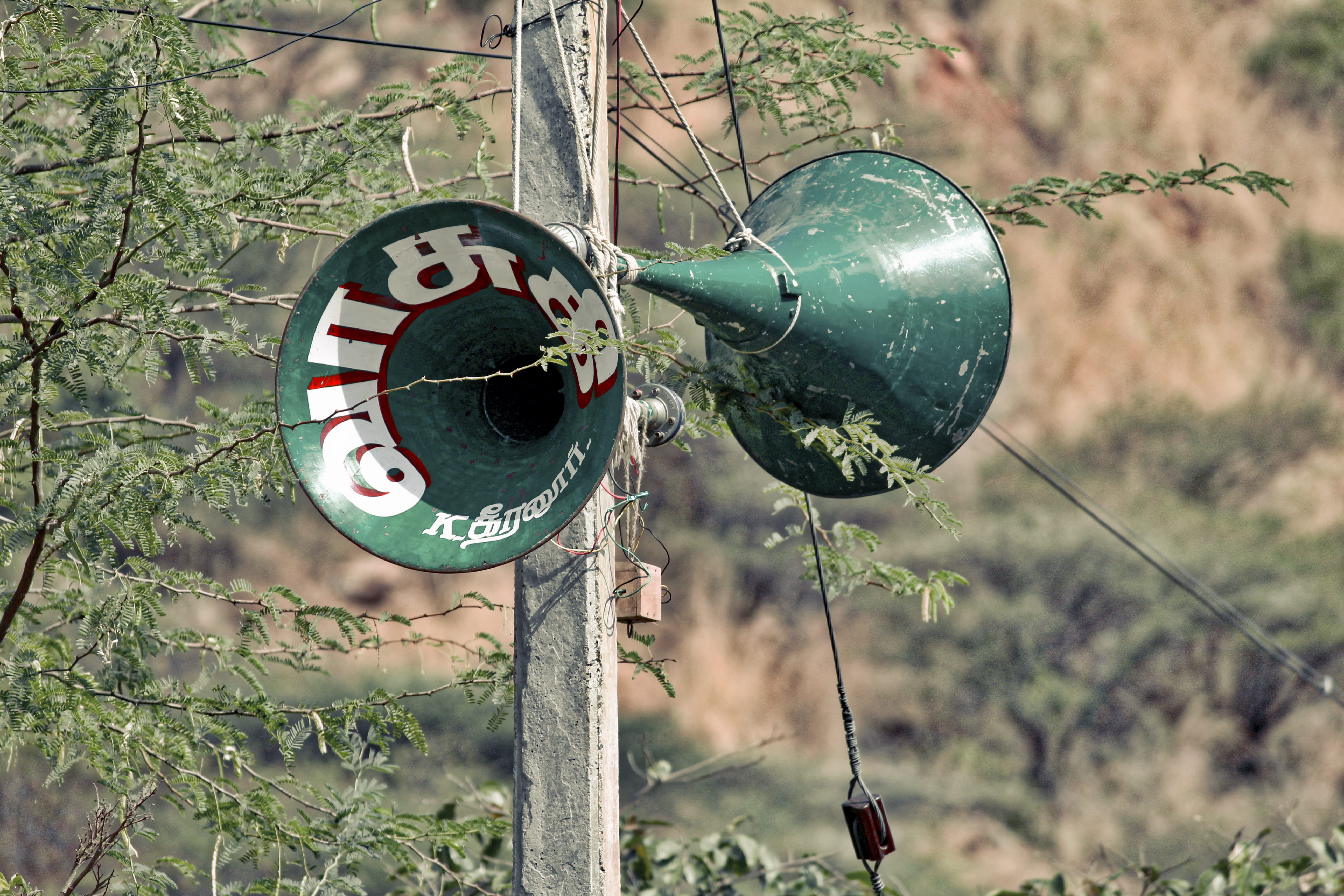 5K, tree, safety, tiruvizha sound music, metal, branch, shape, day, land, plant, protection, nature, marriage function needs, field, circle, sound service, HD Wallpaper