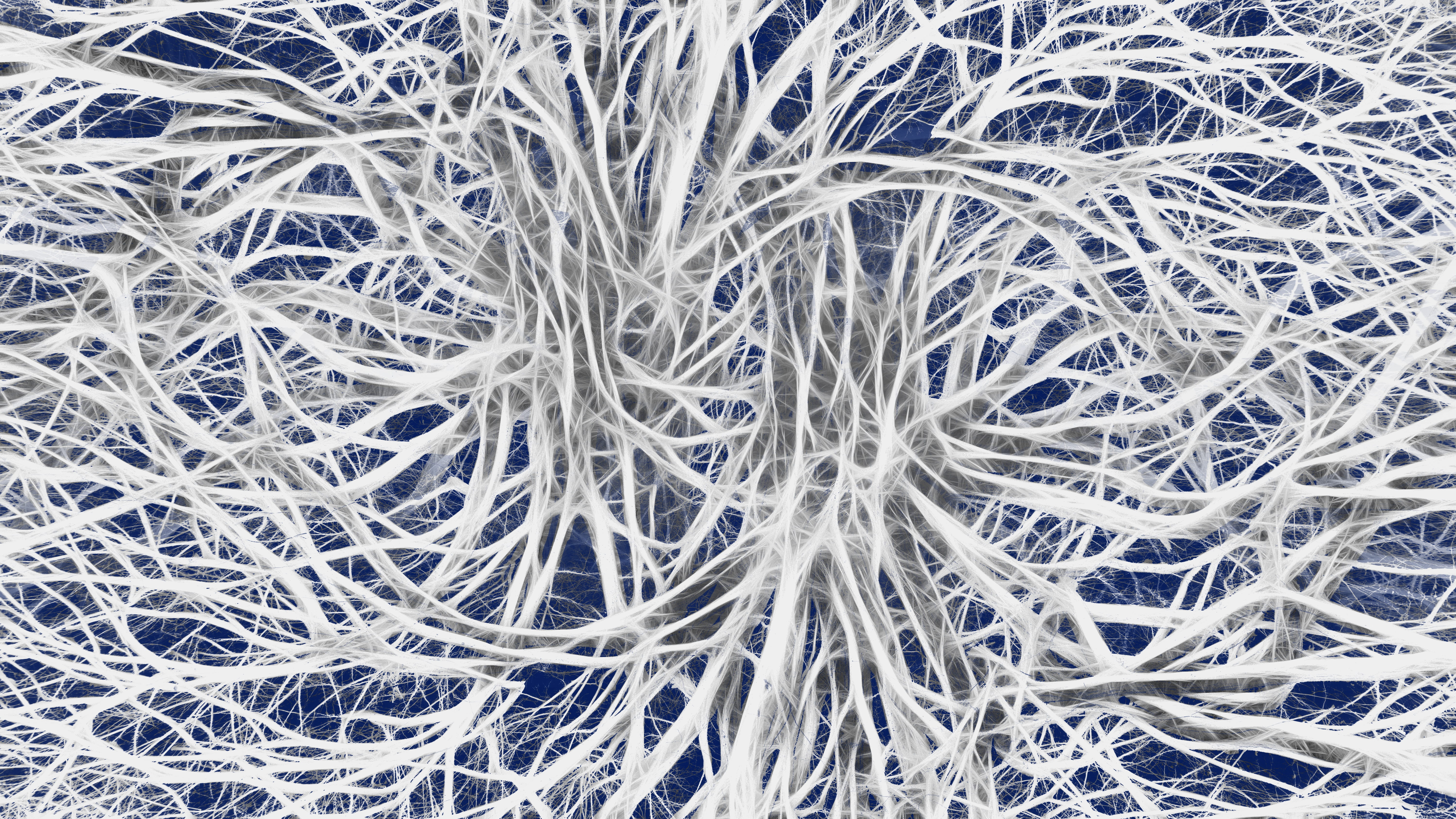 close-up, transduction hub, nerve cells, control, synapse, pattern, pulse, tangled, science, nervous system, cold temperature, ice, texture, frost, nervengeflecht, HD Wallpaper