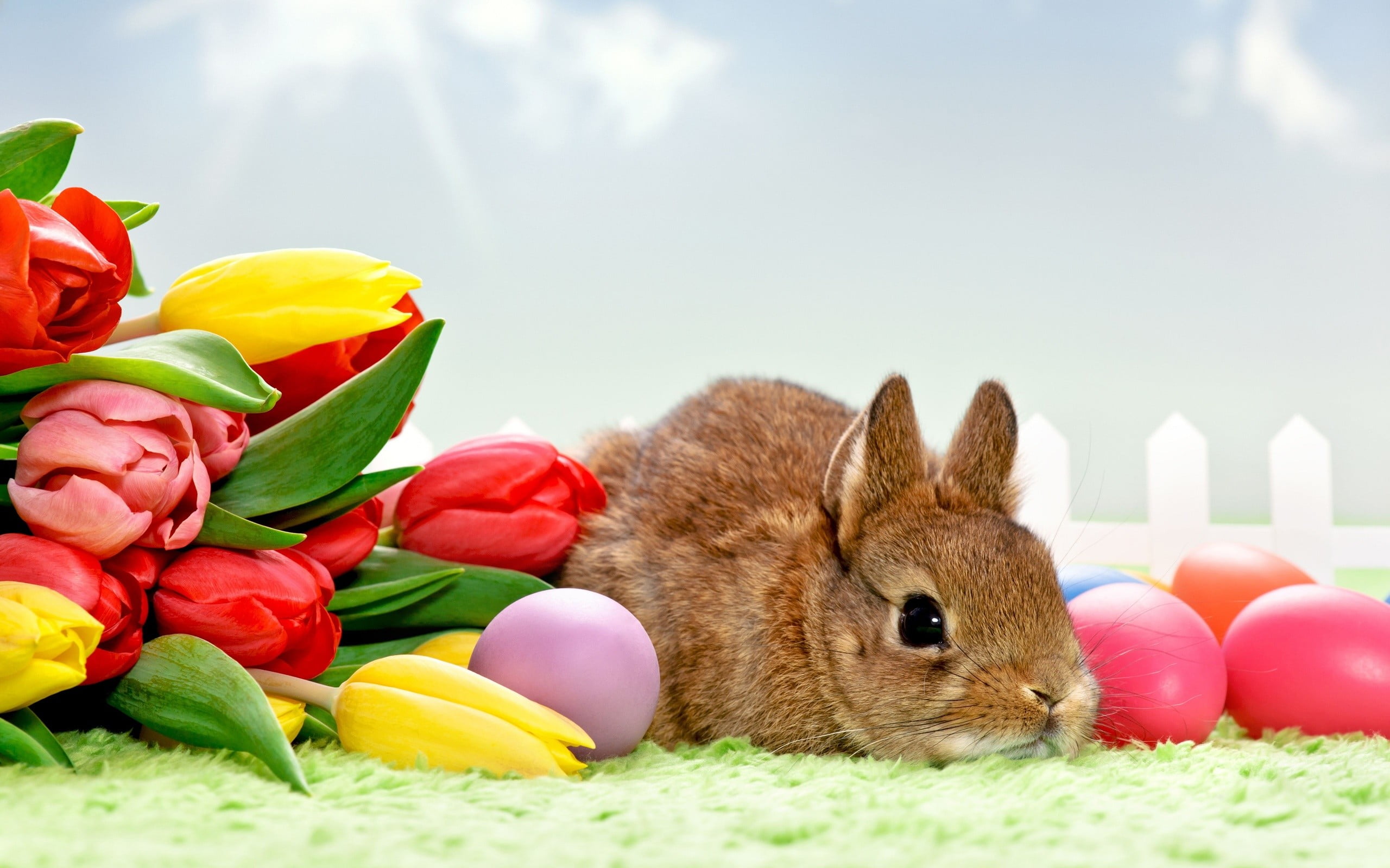 2K, bunny, nature, flowers, eggs, rabbits, rabbit - animal, animals, easter egg, flowering plant, brown, celebration, easter bunny, multi colored, mammal, HD Wallpaper