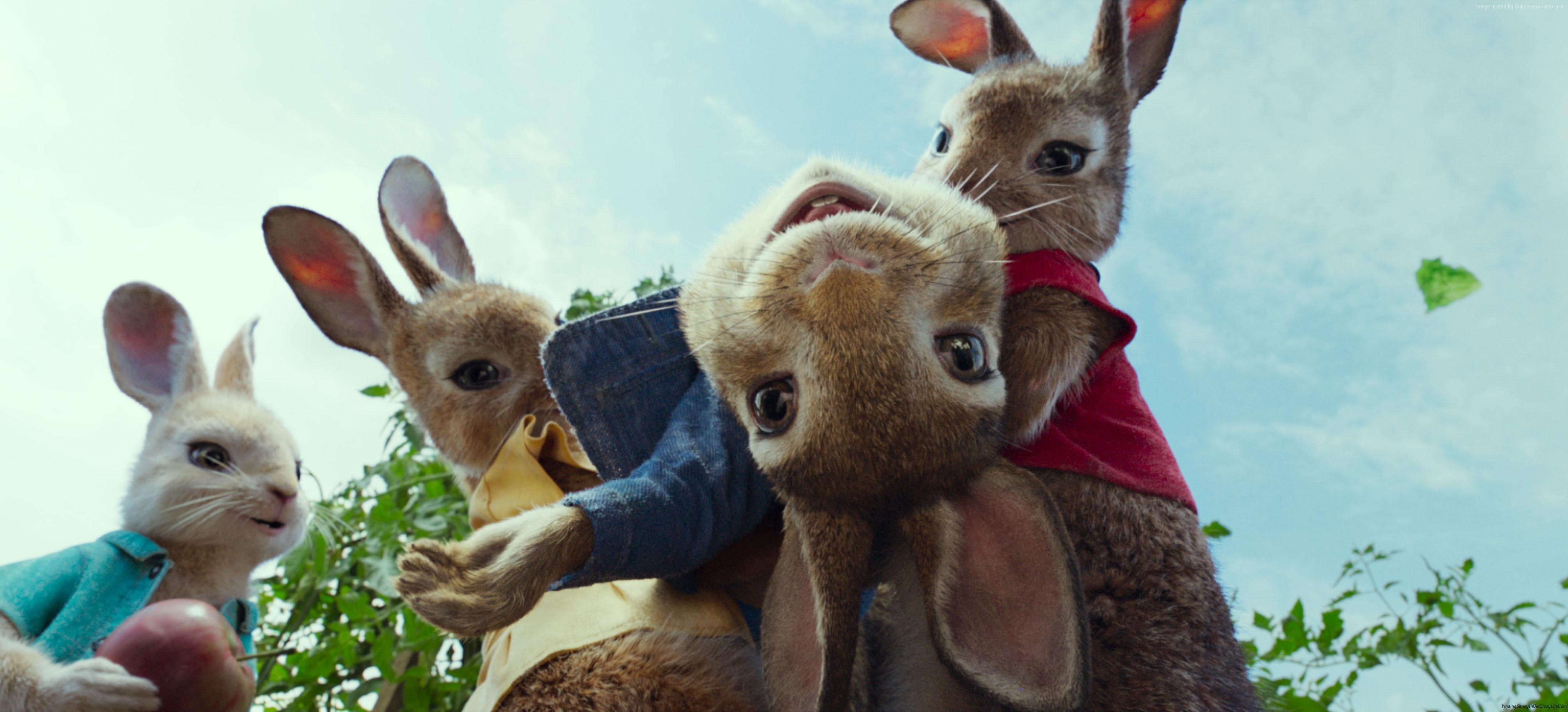 no people, sky, domestic, Peter Rabbit, animal themes, representation, 4k, mammal, easter, close-up, 4K, animal representation, young animal, celebration, HD Wallpaper
