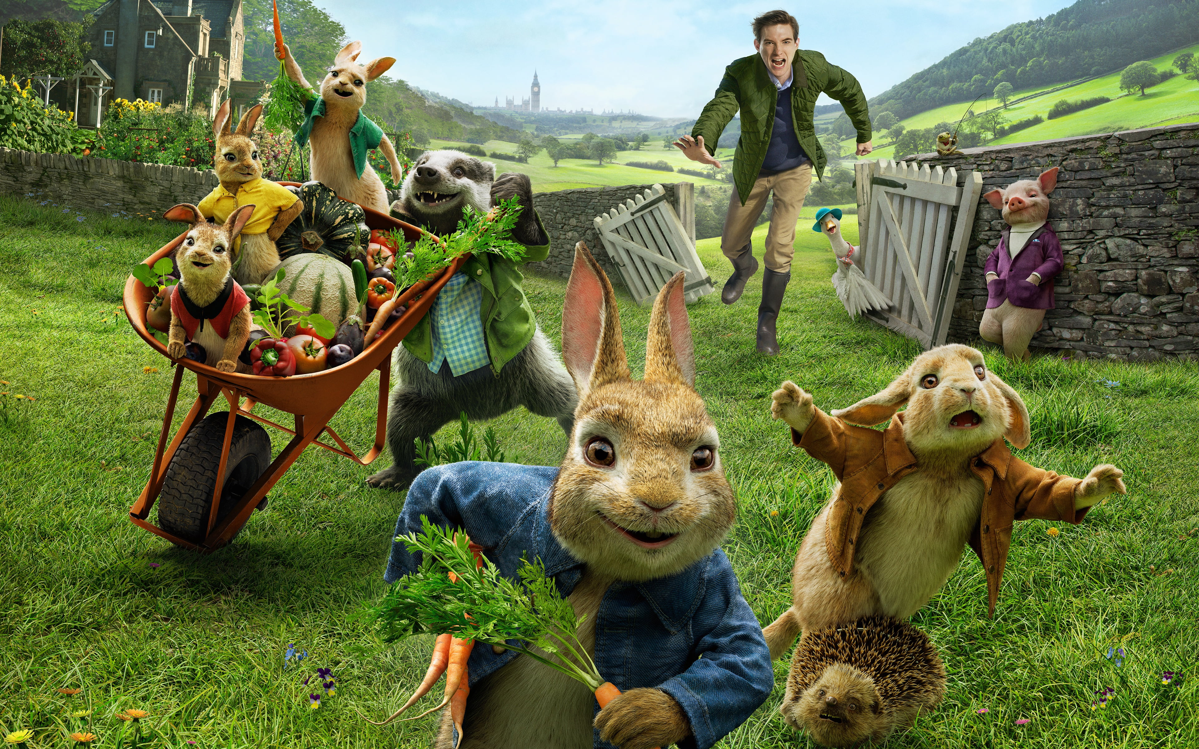 4K, pig, Peter Rabbit, guy, rabbits, cartoon, HD Wallpaper