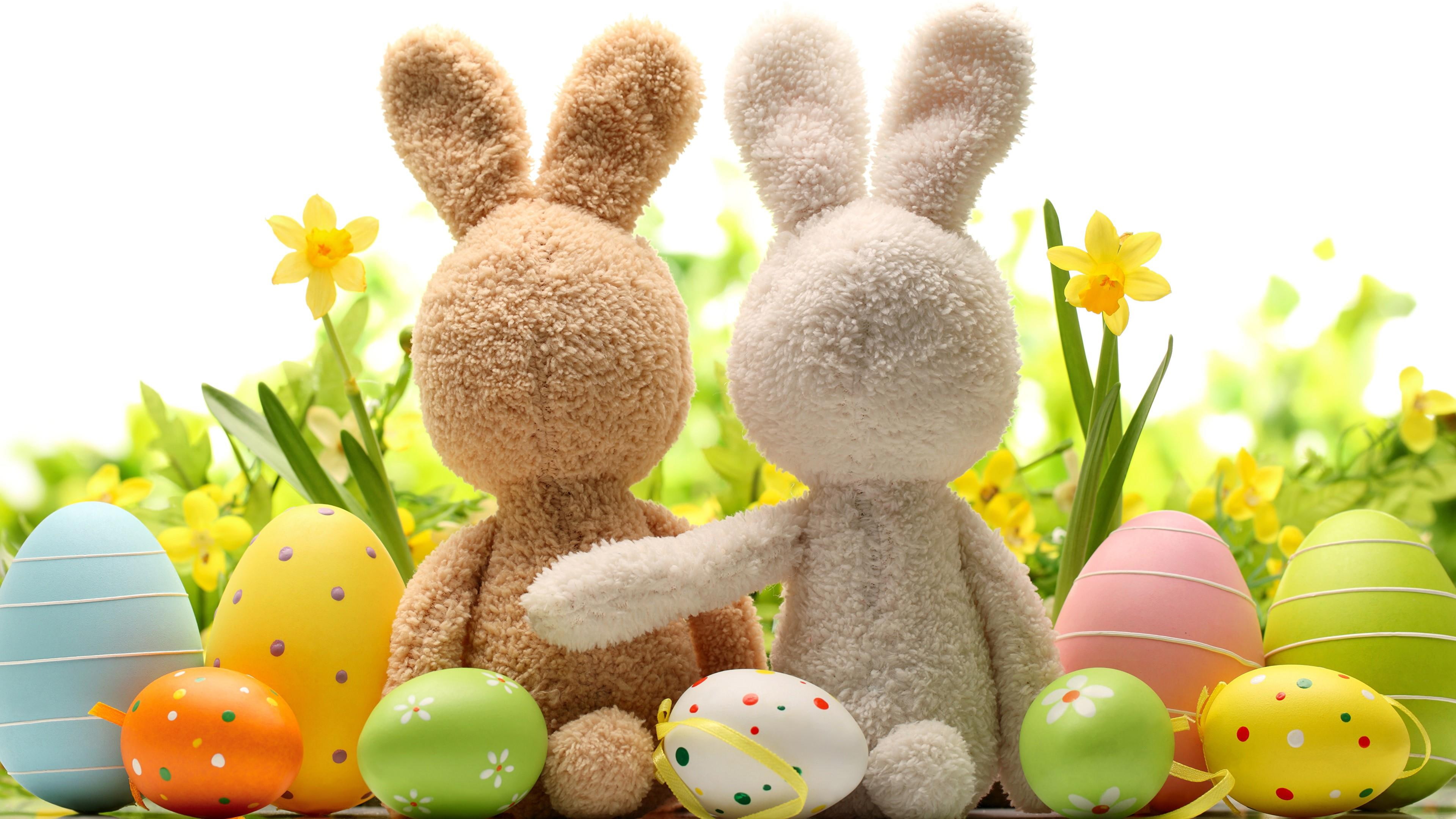 4K, couple, easter eggs, easter, decoration, rabbits, HD Wallpaper