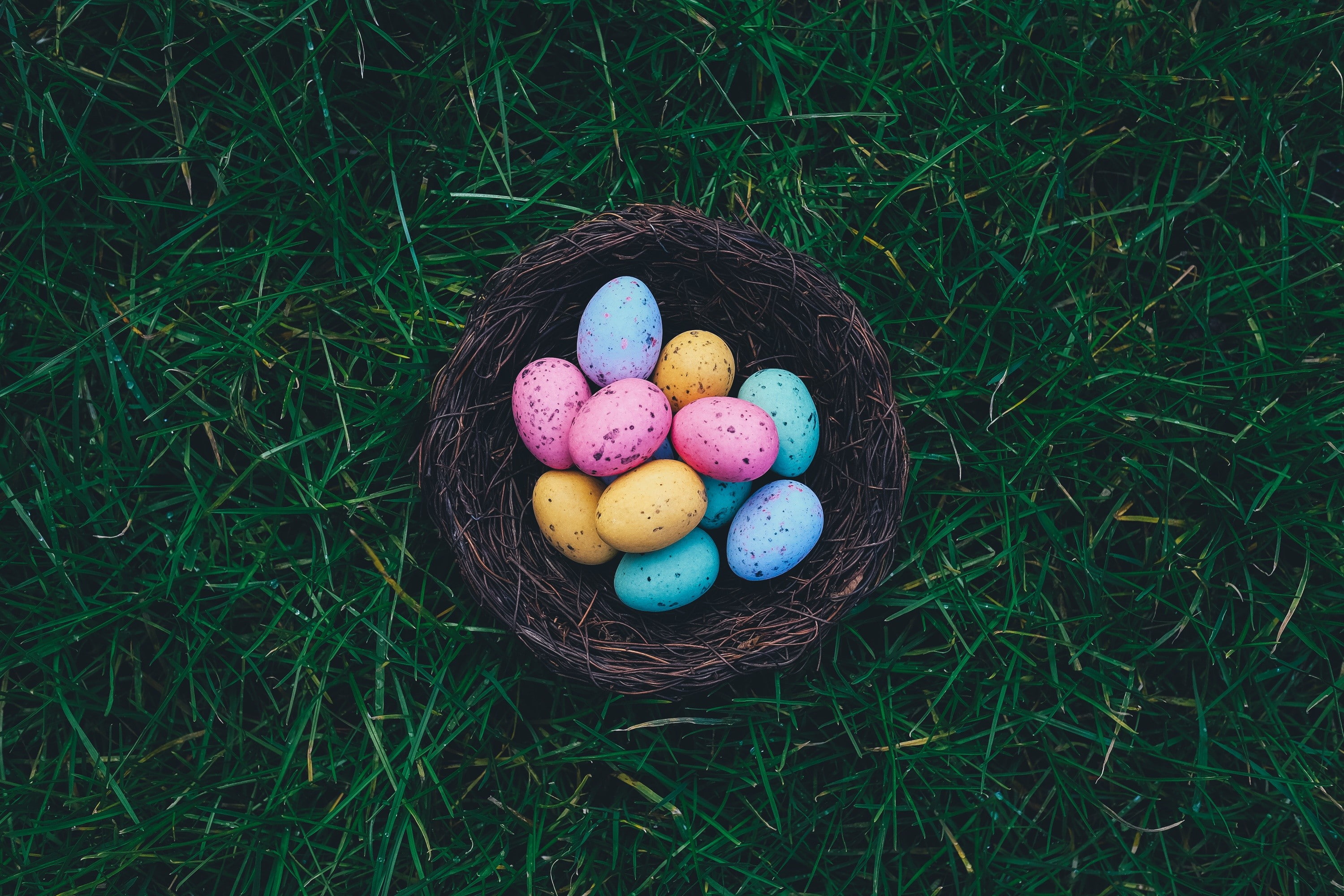 easter eggs, food, basket, Easter, egg, 2K, celebration, multi colored, baskets, eggs, no people, container, outdoors, plant, nature, easter egg, sweet food, HD Wallpaper